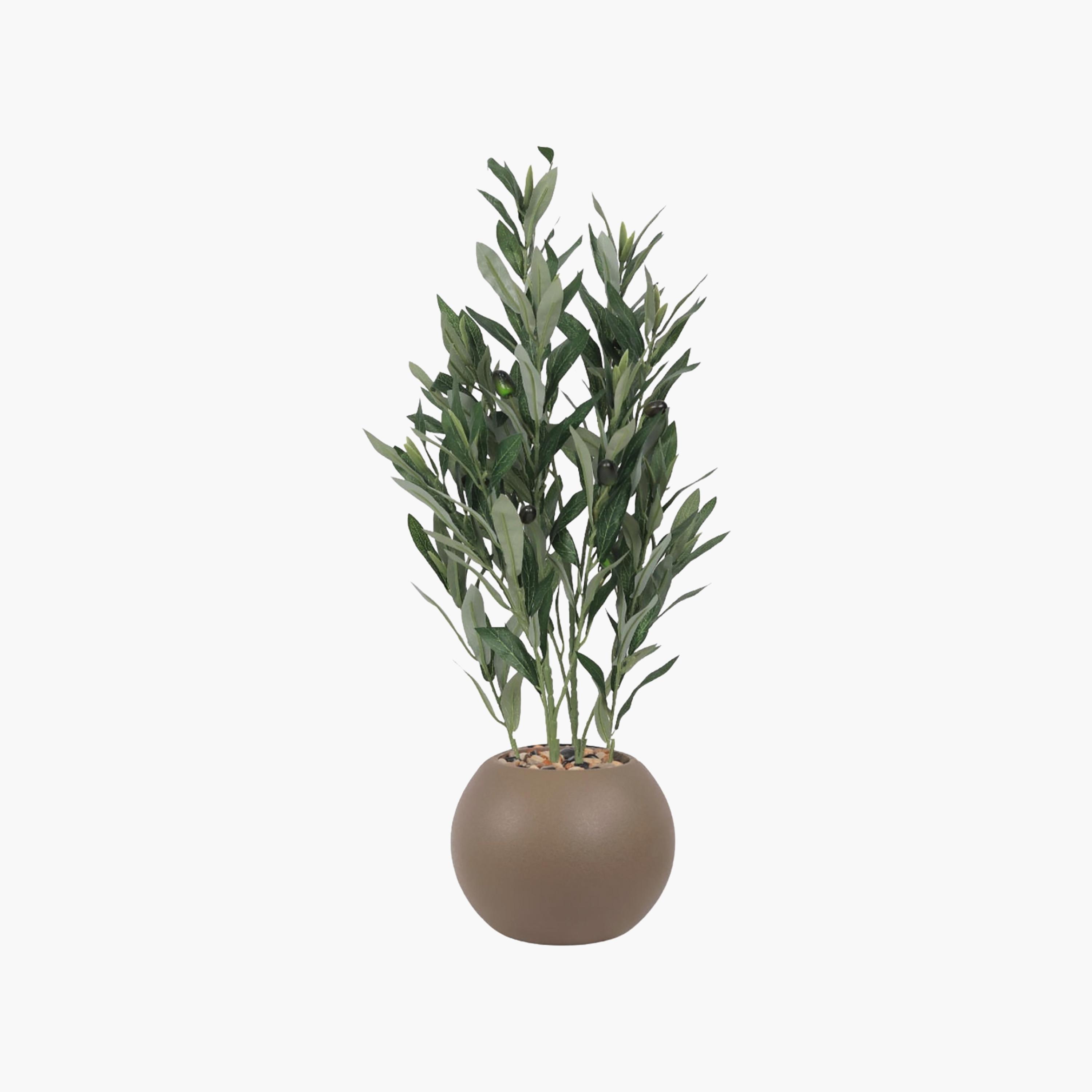نبتة زيتون صناعية في أصيص من ماريا هومز-household-gardenandoutdoor-artificialflowersandplants-flowers-image-2