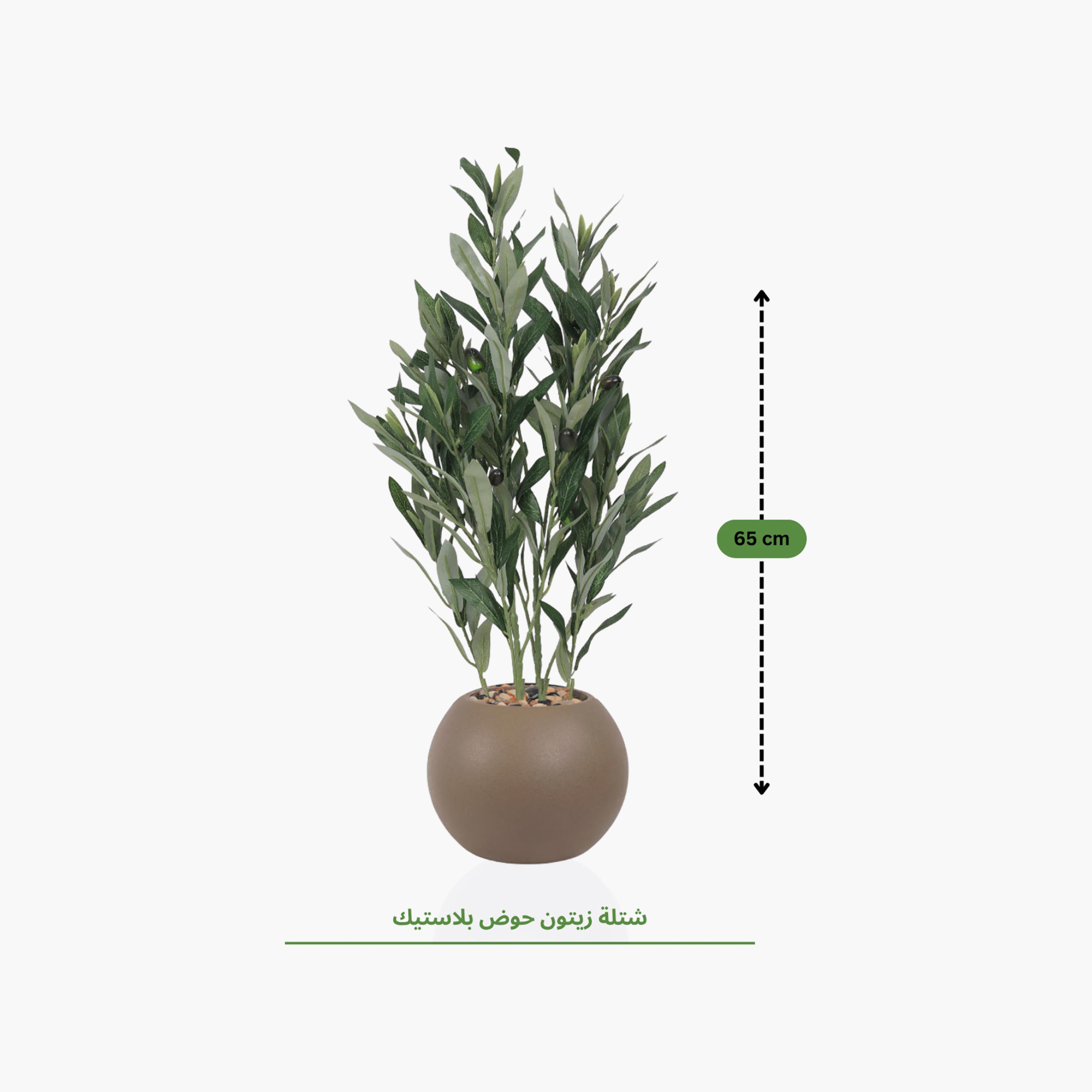 نبتة زيتون صناعية في أصيص من ماريا هومز-household-gardenandoutdoor-artificialflowersandplants-flowers-image-4