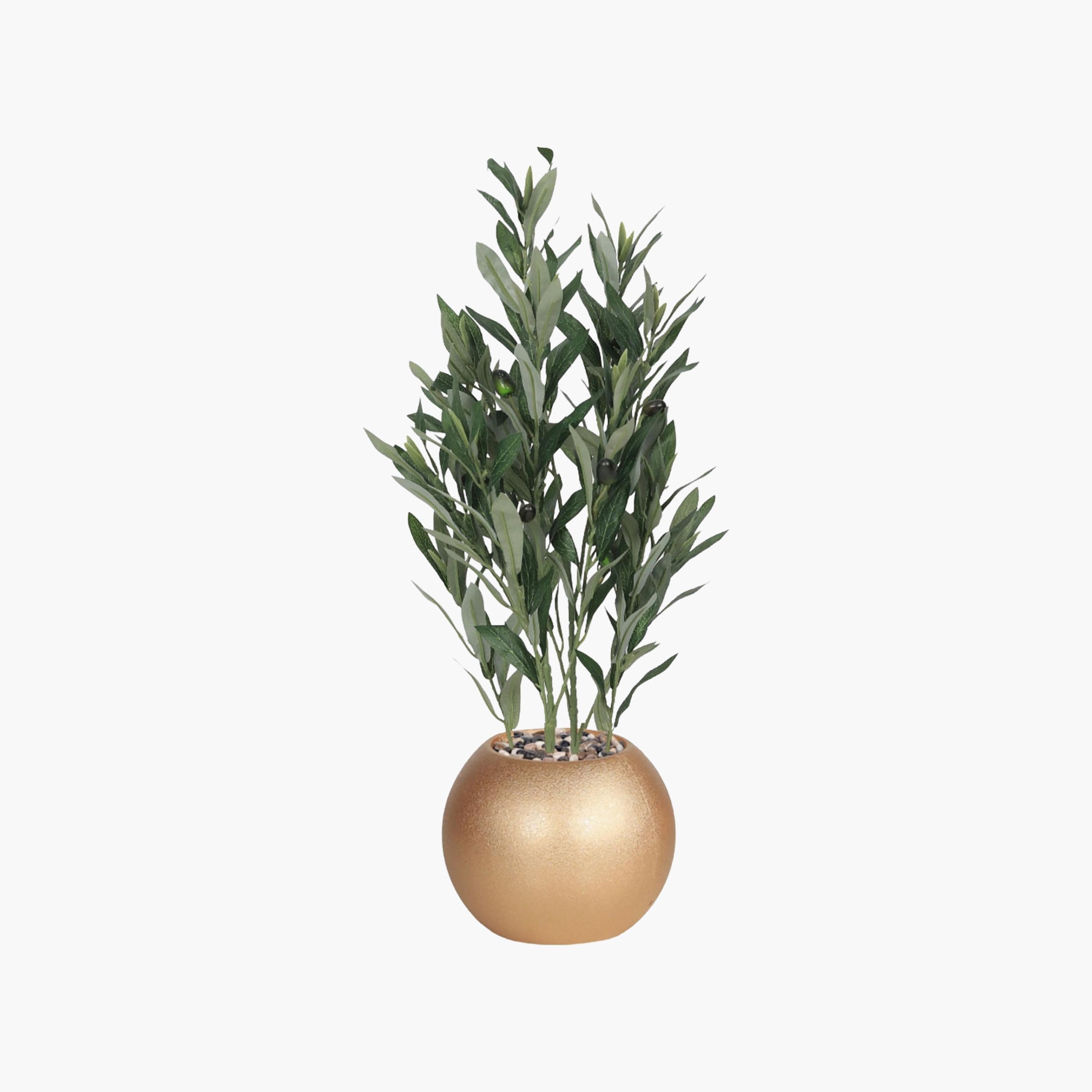 نبتة زيتون صناعية في أصيص من ماريا هومز-household-gardenandoutdoor-artificialflowersandplants-flowers-image-2