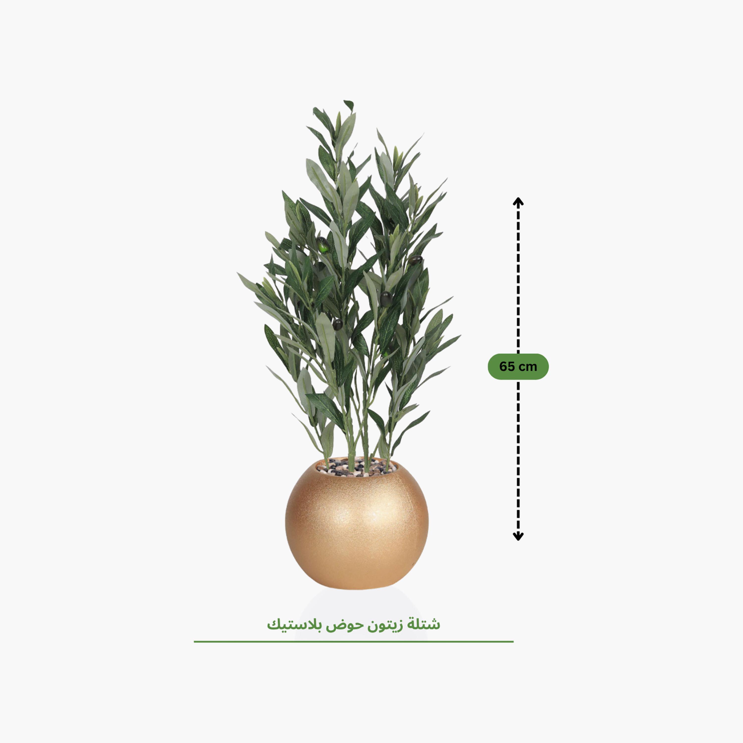نبتة زيتون صناعية في أصيص من ماريا هومز-household-gardenandoutdoor-artificialflowersandplants-flowers-image-4