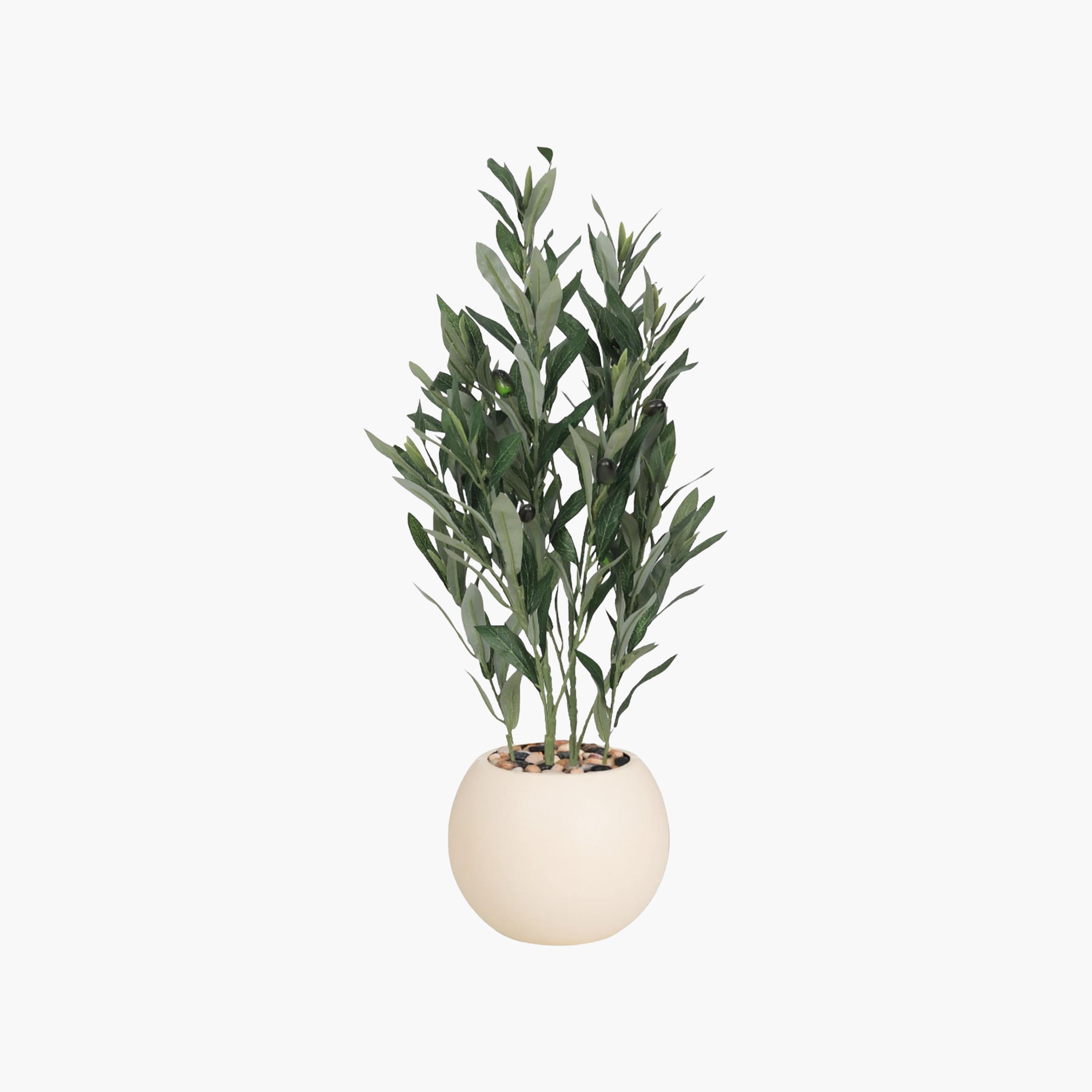نبتة زيتون صناعية في أصيص من ماريا هومز-household-gardenandoutdoor-artificialflowersandplants-flowers-image-2