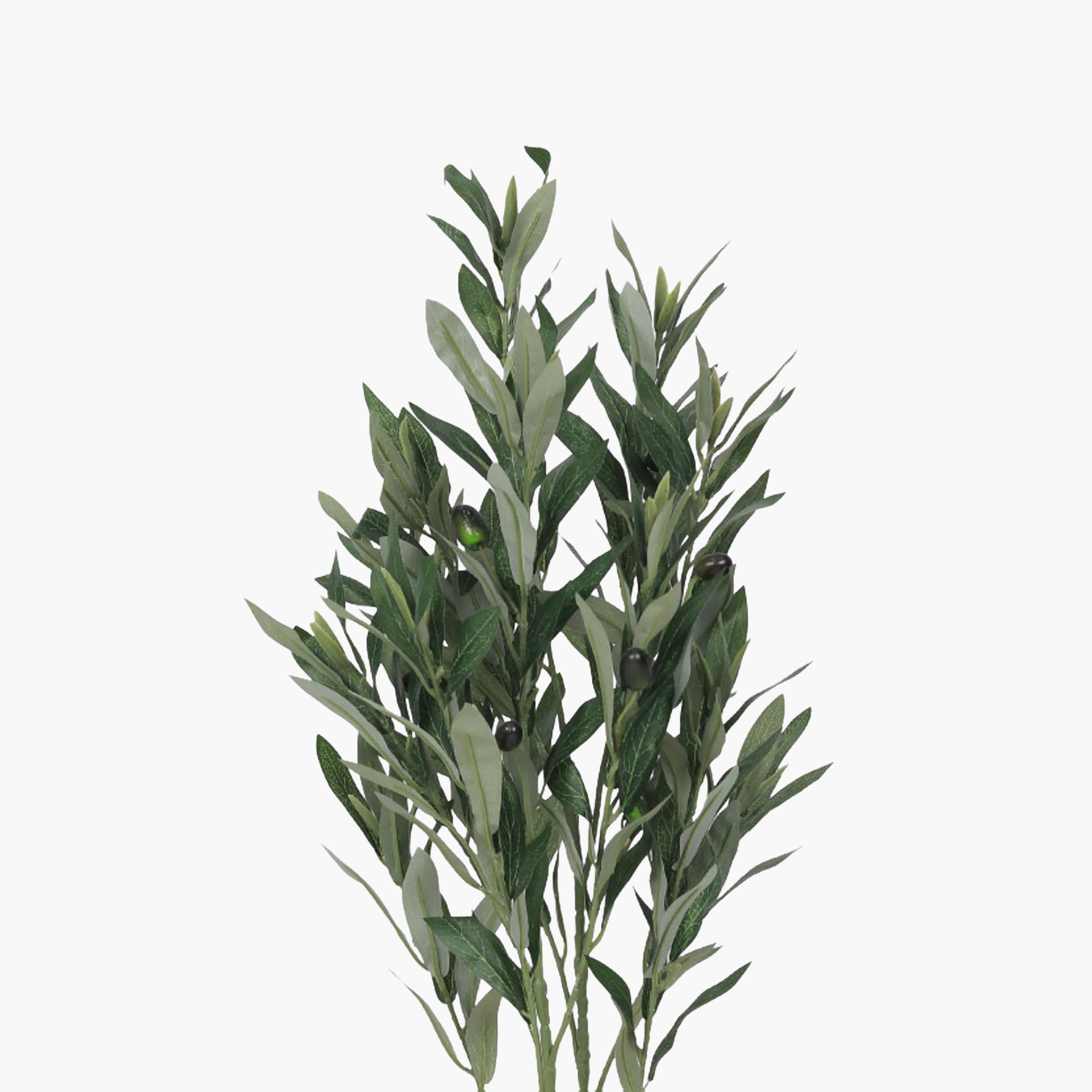 نبتة زيتون صناعية في أصيص من ماريا هومز-household-gardenandoutdoor-artificialflowersandplants-flowers-image-3