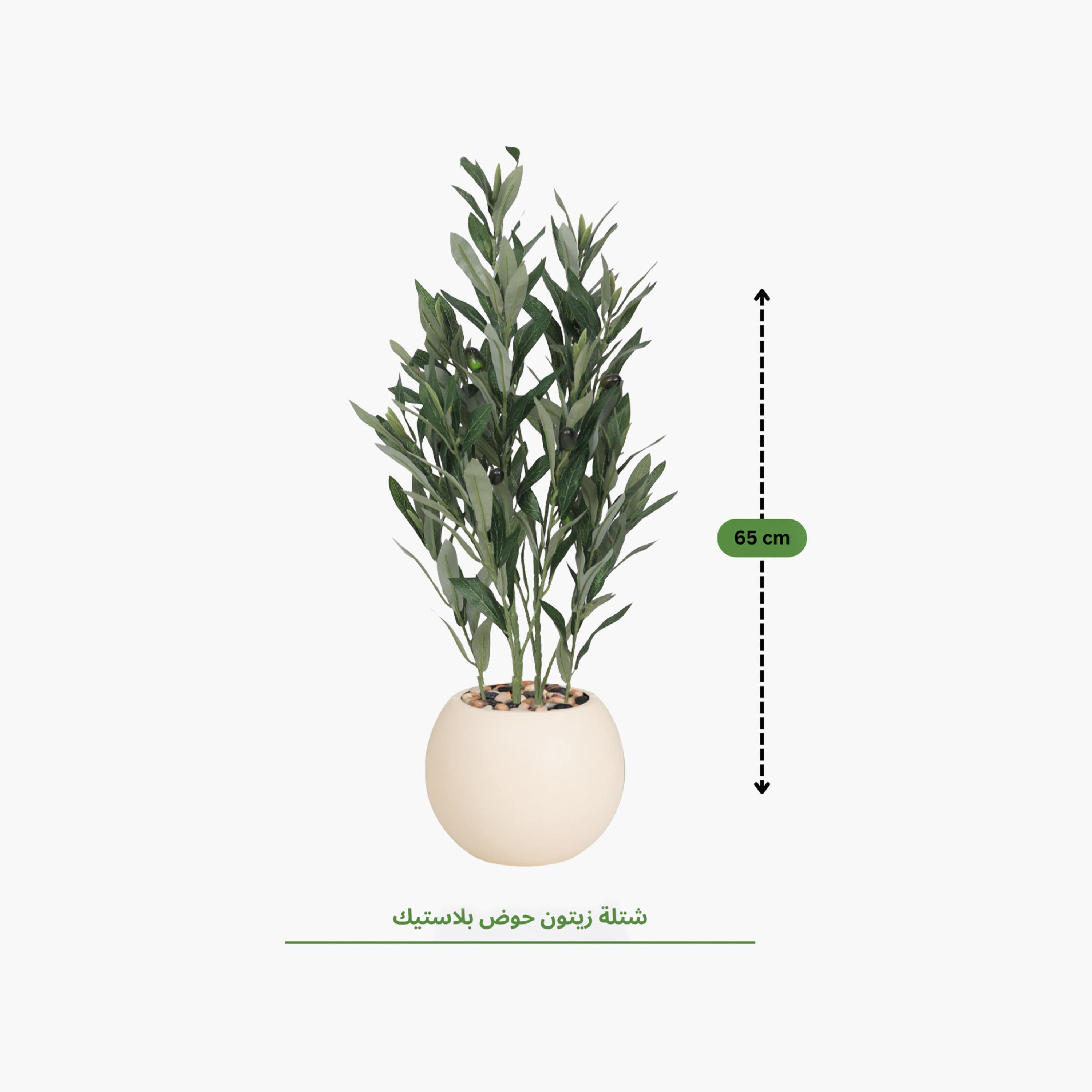 نبتة زيتون صناعية في أصيص من ماريا هومز-household-gardenandoutdoor-artificialflowersandplants-flowers-image-4