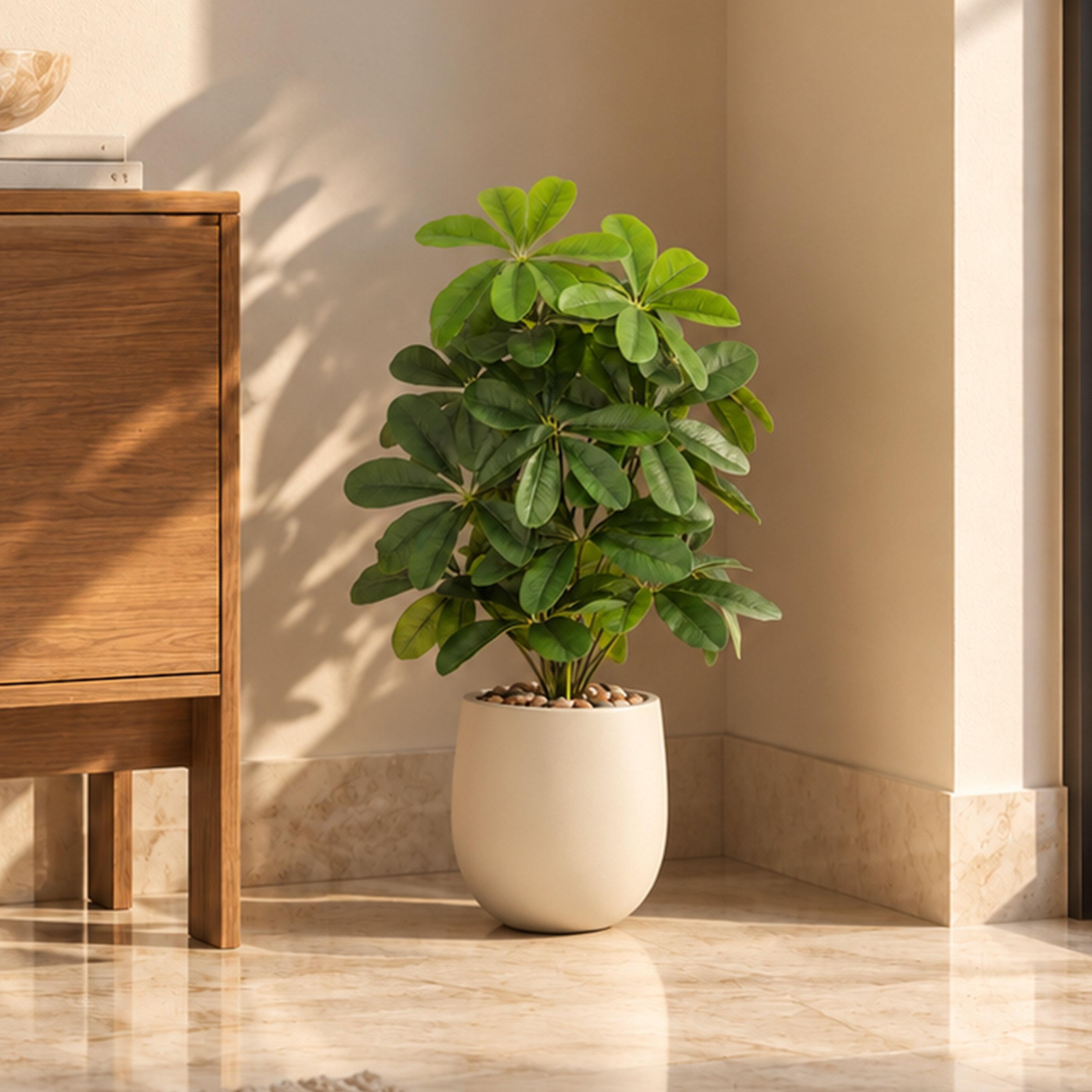 نبتة شيفليرا صناعية بأصيص من ماريا هومز-household-gardenandoutdoor-artificialflowersandplants-flowers-image-1