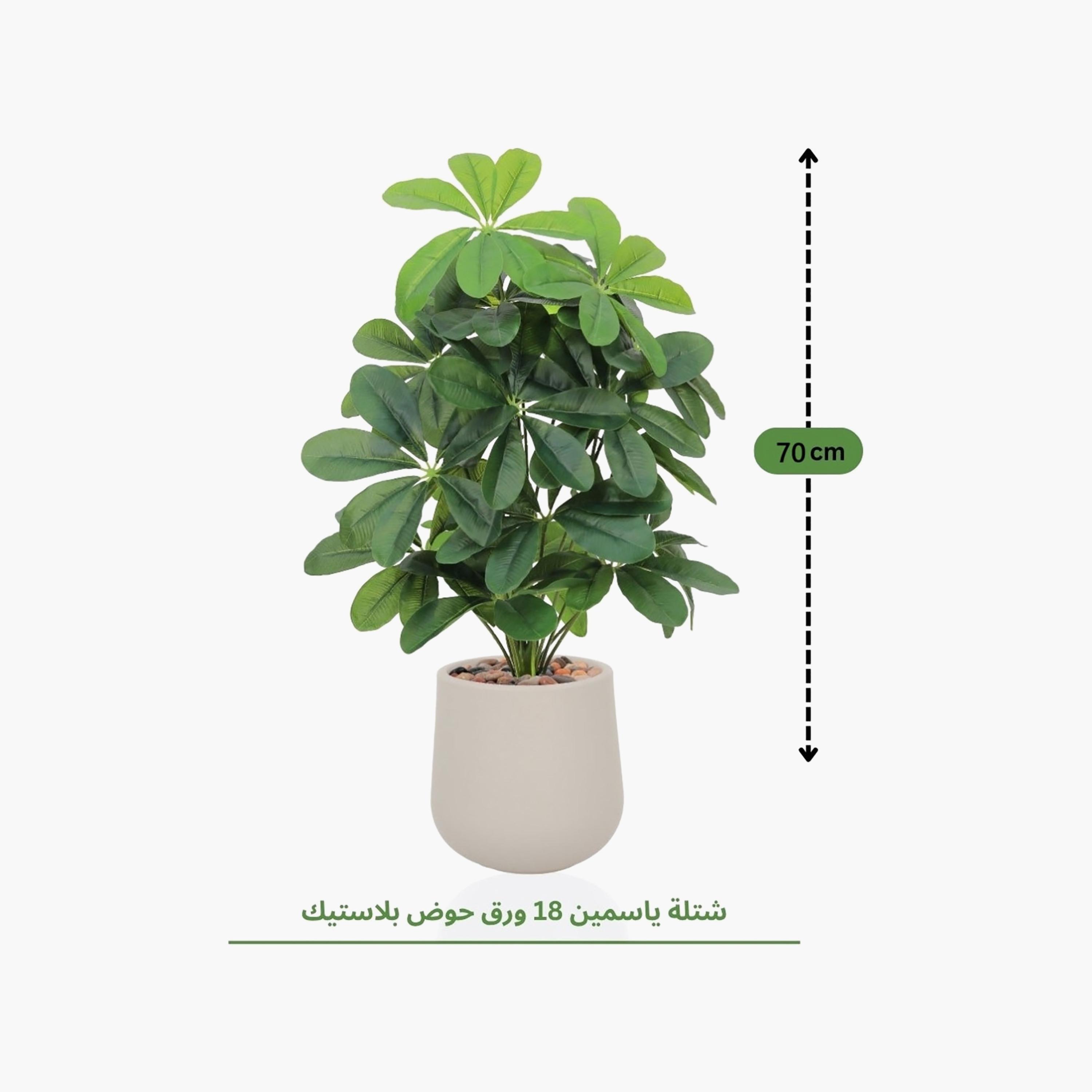 نبتة شيفليرا صناعية بأصيص من ماريا هومز-household-gardenandoutdoor-artificialflowersandplants-flowers-image-4