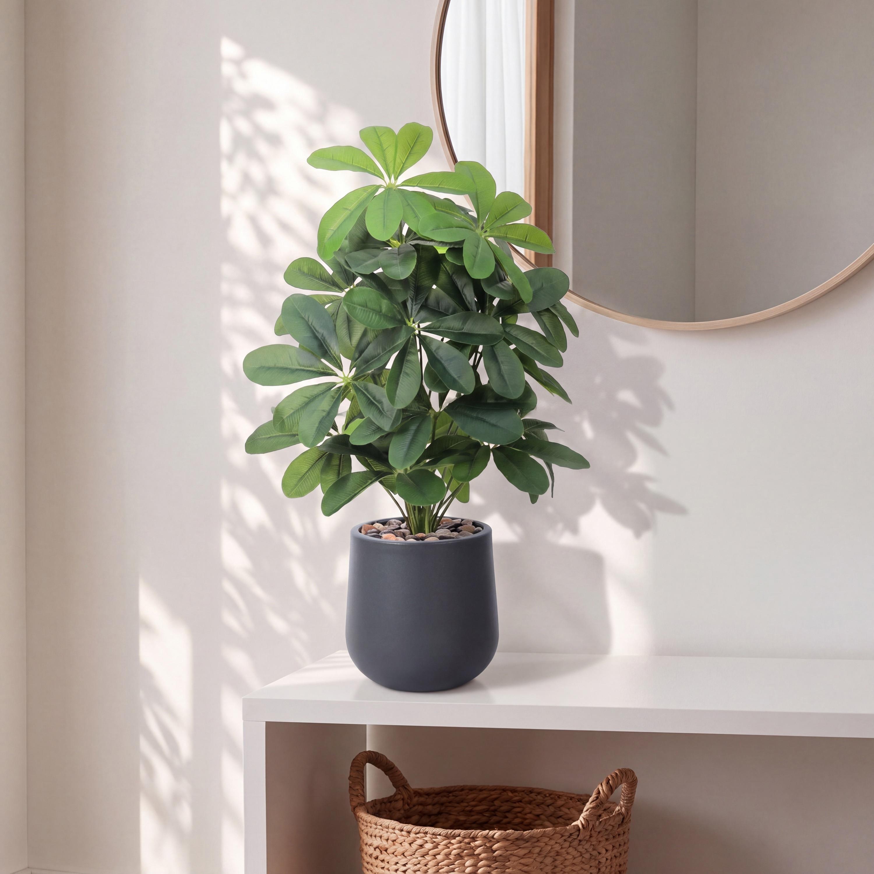 نبتة شيفليرا صناعية بأصيص من ماريا هومز-household-gardenandoutdoor-artificialflowersandplants-flowers-image-1