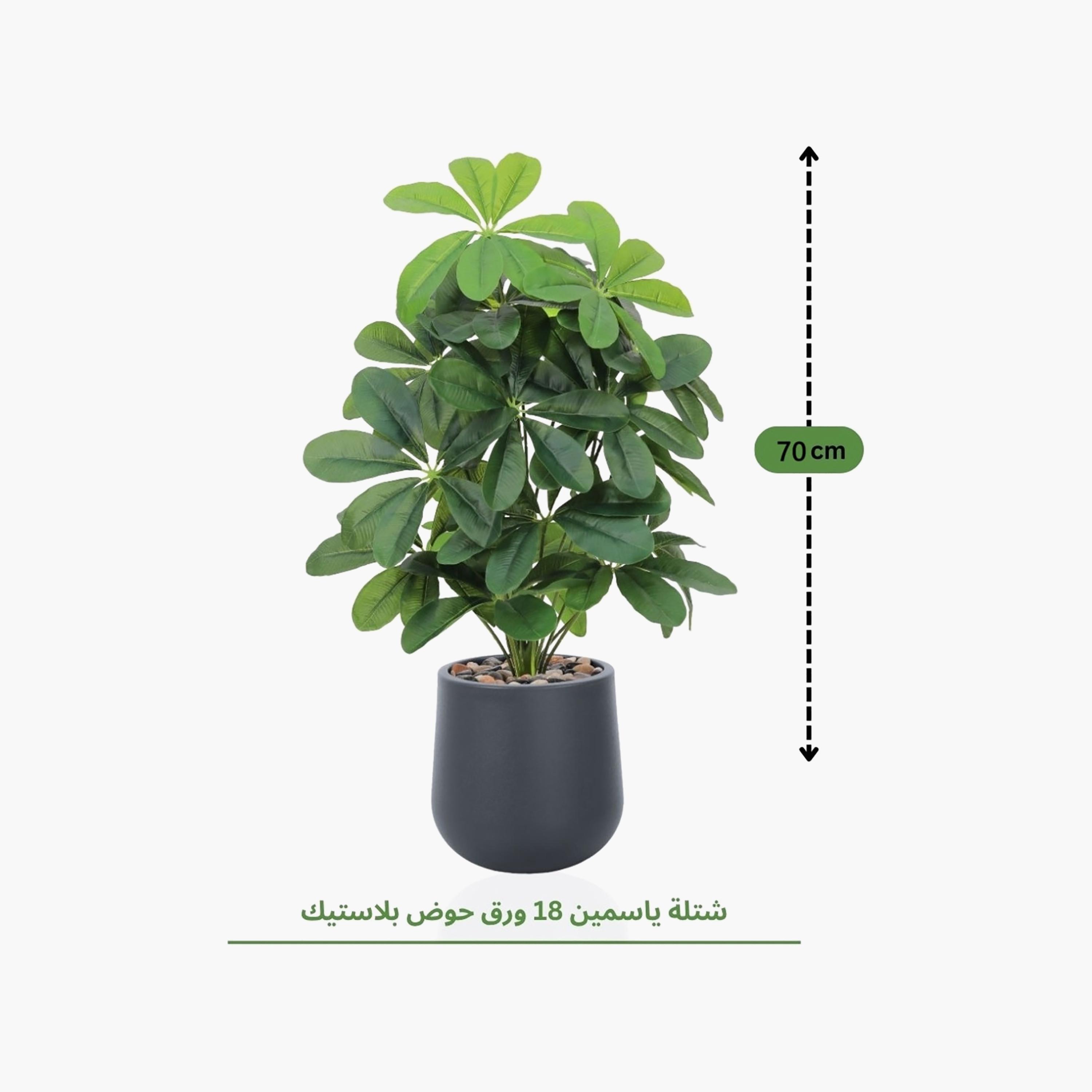 نبتة شيفليرا صناعية بأصيص من ماريا هومز-household-gardenandoutdoor-artificialflowersandplants-flowers-image-4