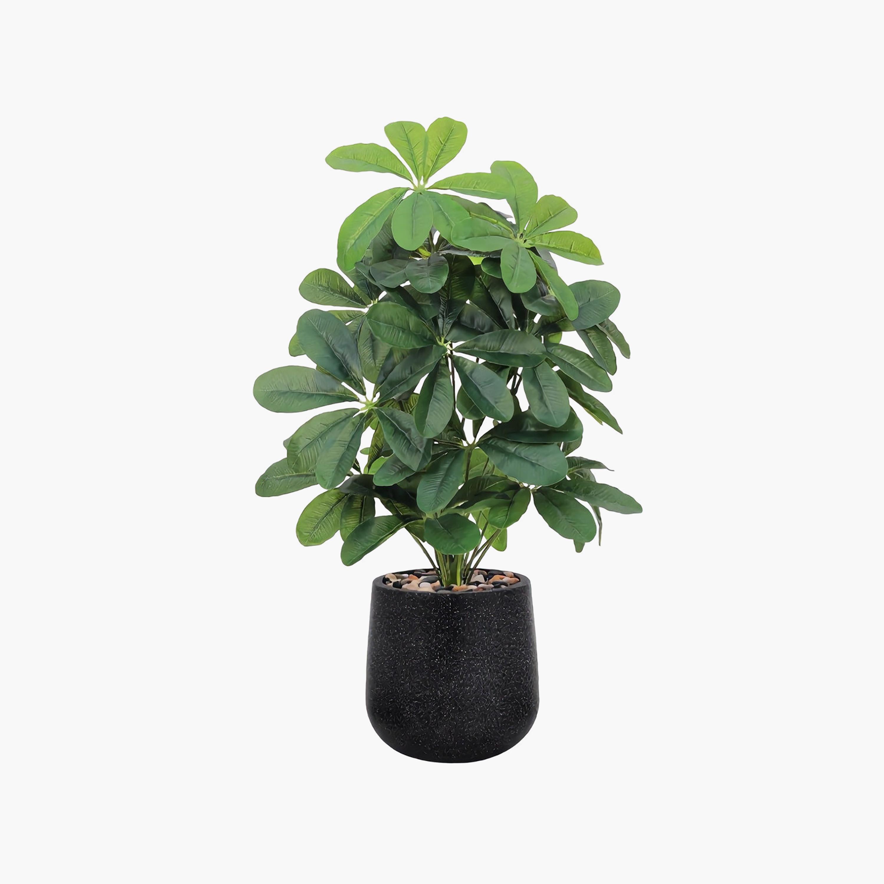 نبتة شيفليرا صناعية بأصيص من ماريا هومز-household-gardenandoutdoor-artificialflowersandplants-flowers-image-2