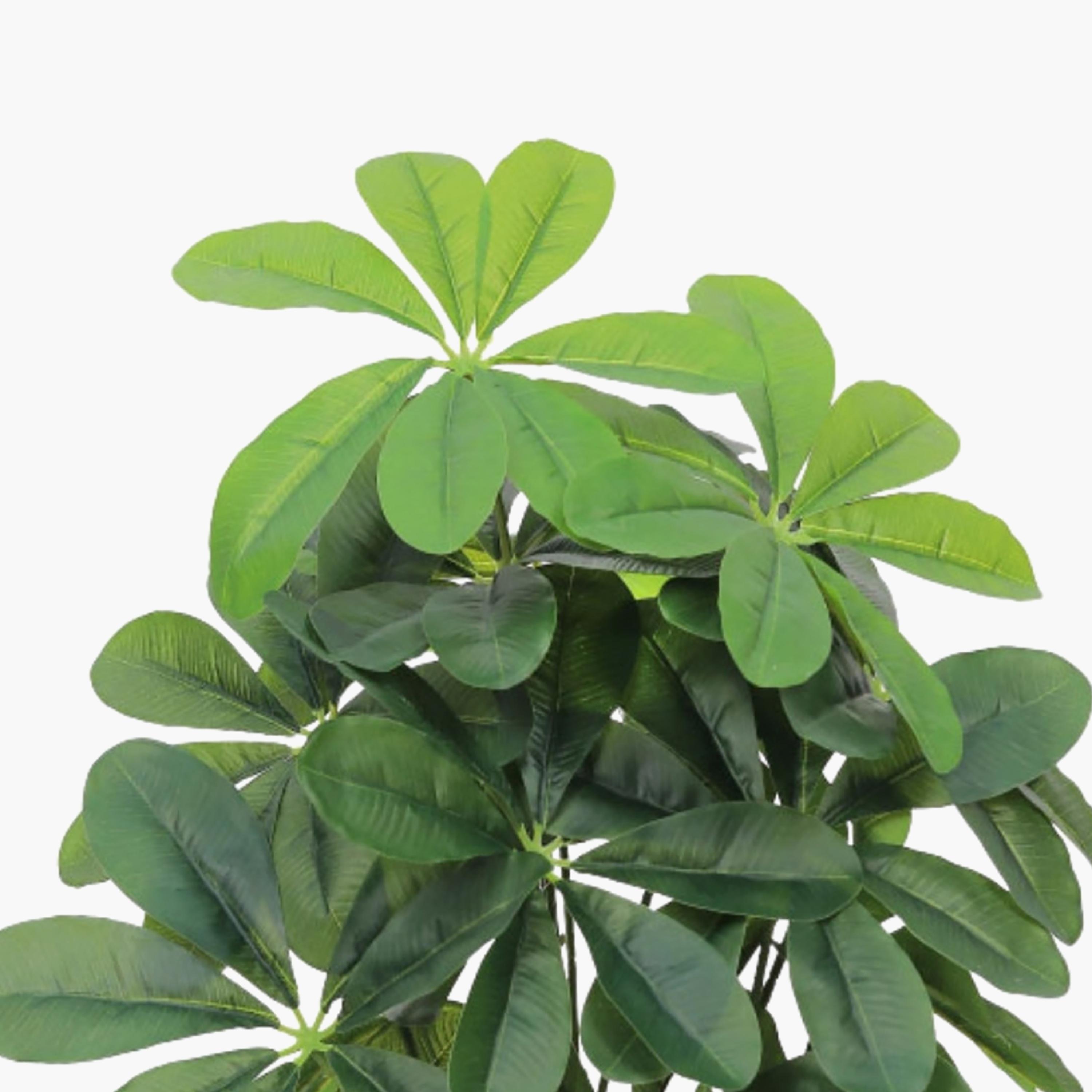 نبتة شيفليرا صناعية بأصيص من ماريا هومز-household-gardenandoutdoor-artificialflowersandplants-flowers-image-3