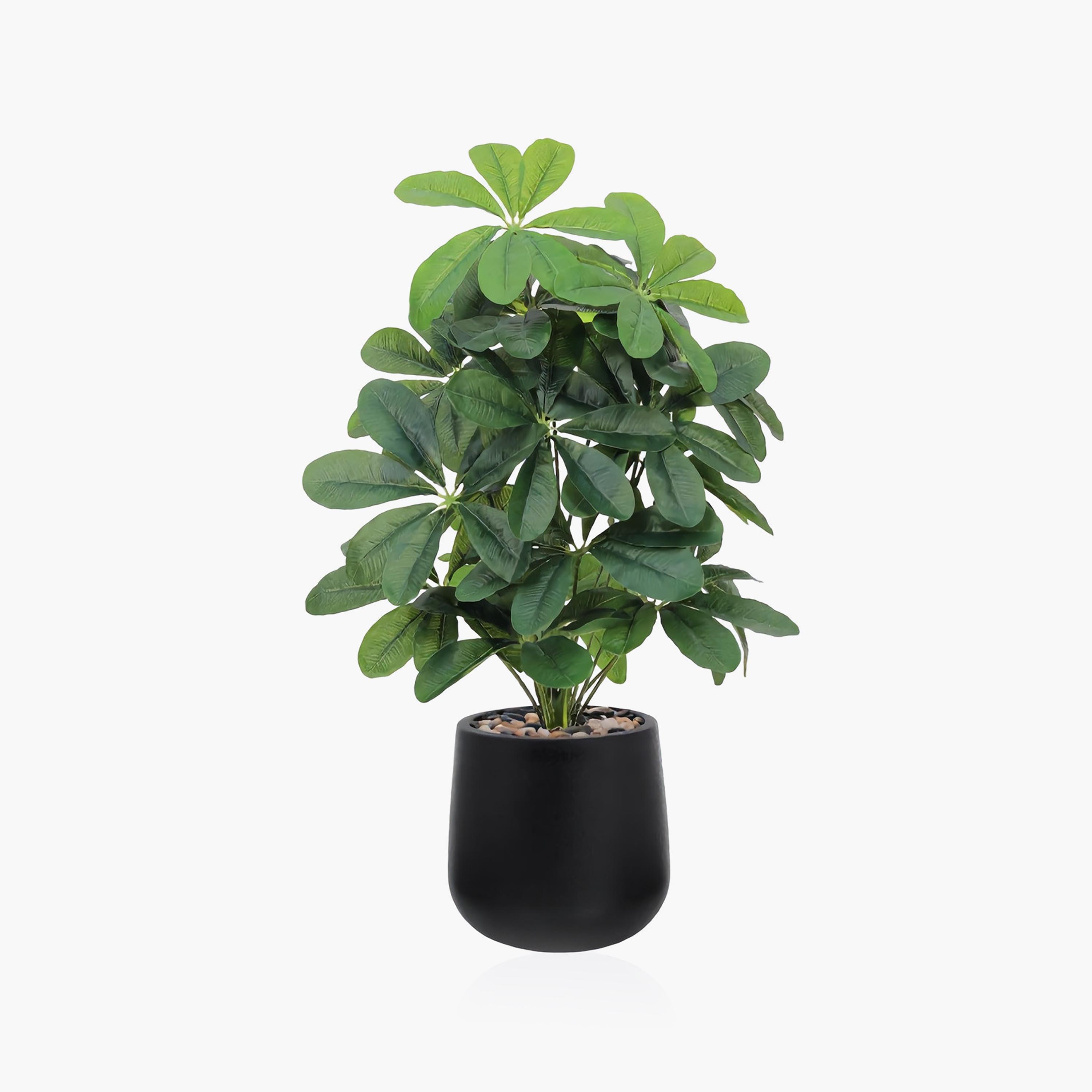 نبتة شيفليرا صناعية بأصيص من ماريا هومز-household-gardenandoutdoor-artificialflowersandplants-flowers-image-2