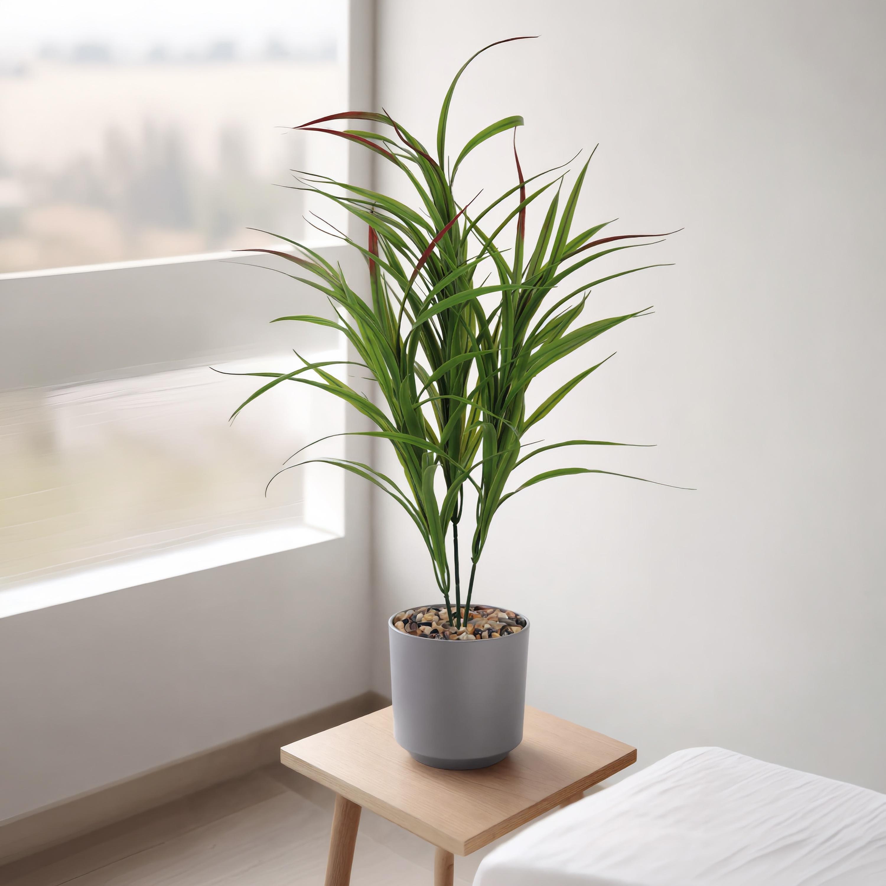 Maria Homes Potted Artificial Cordyline Plant-household-gardenandoutdoor-artificialflowersandplants-flowers-image-1
