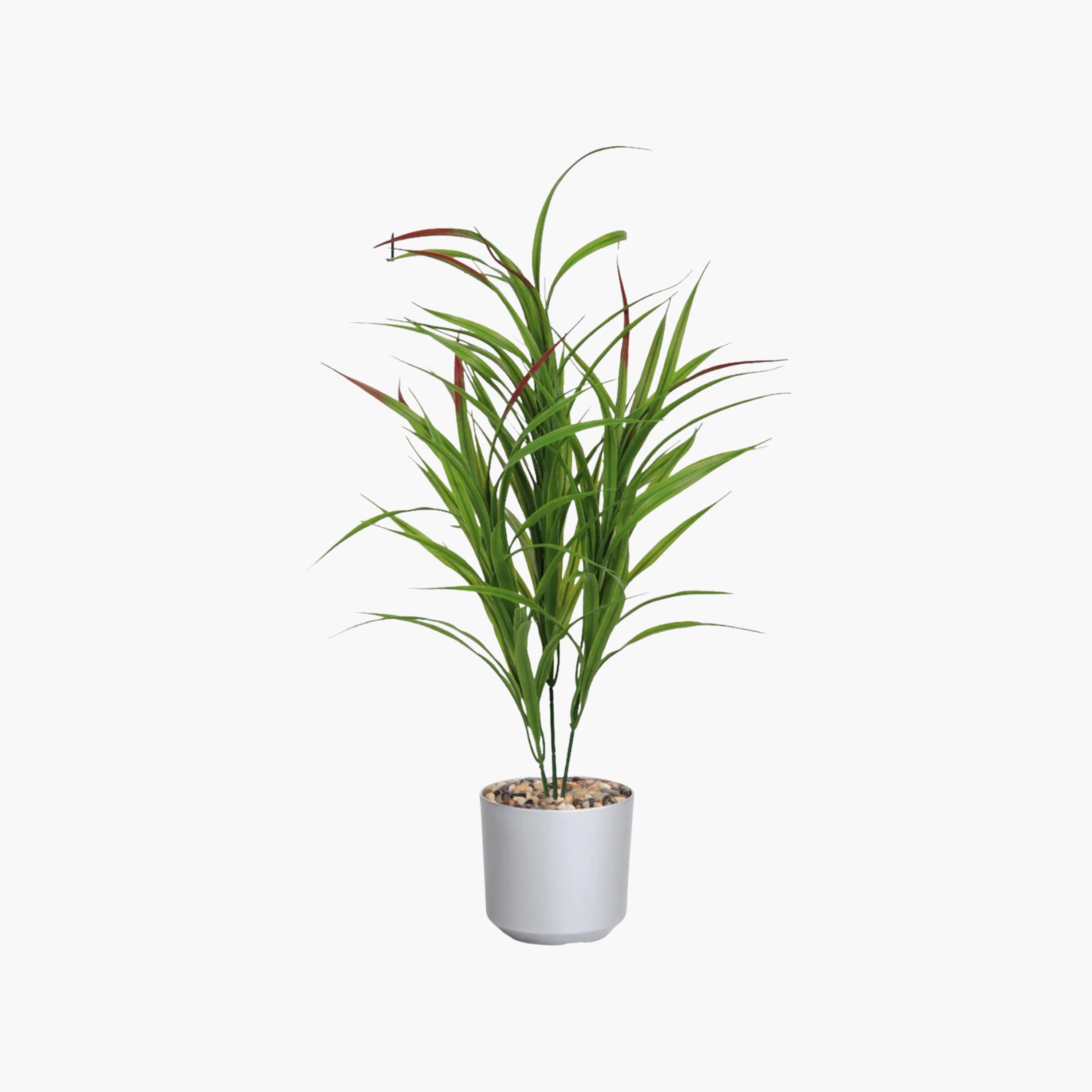 Maria Homes Potted Artificial Cordyline Plant-household-gardenandoutdoor-artificialflowersandplants-flowers-image-2