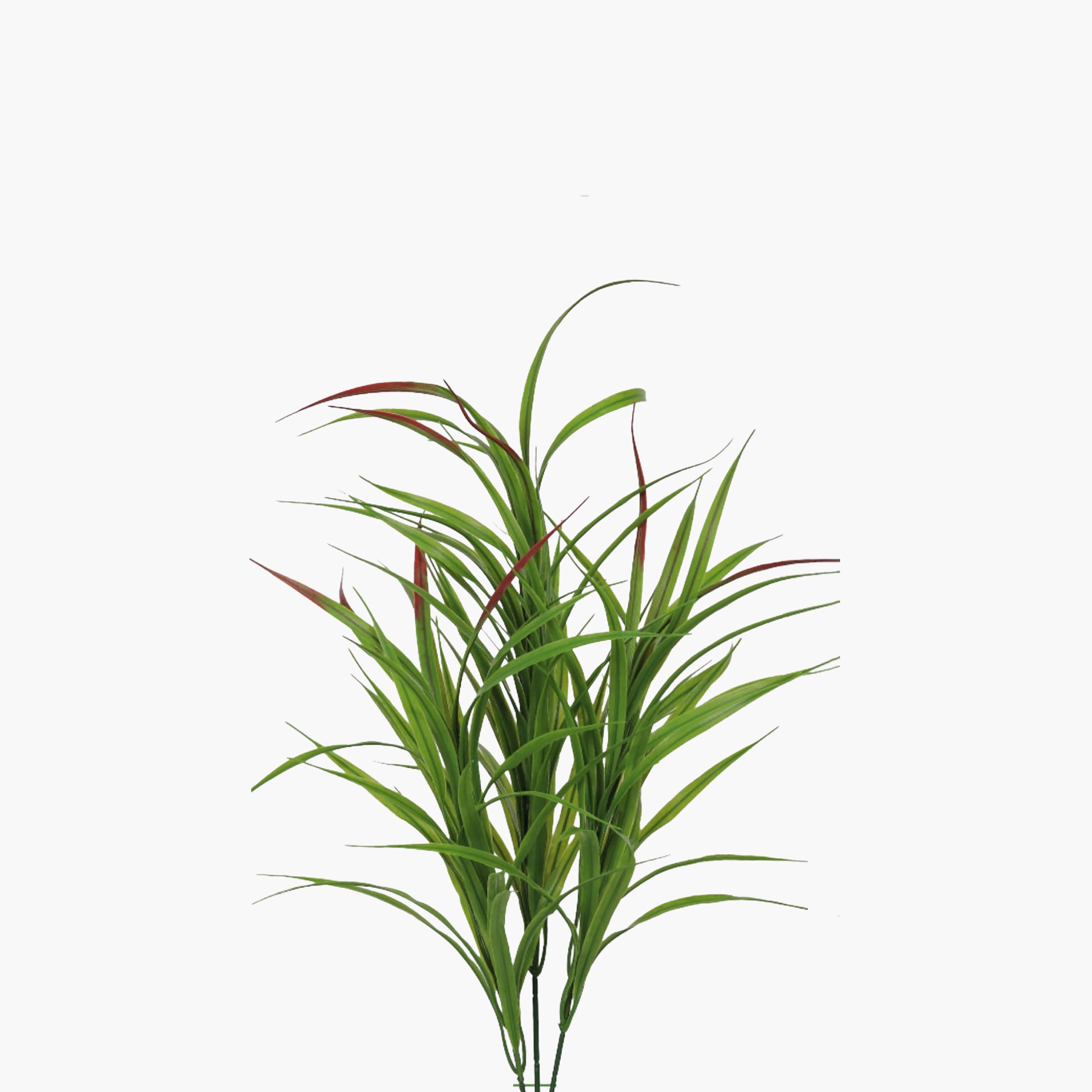 Maria Homes Potted Artificial Cordyline Plant-household-gardenandoutdoor-artificialflowersandplants-flowers-image-3