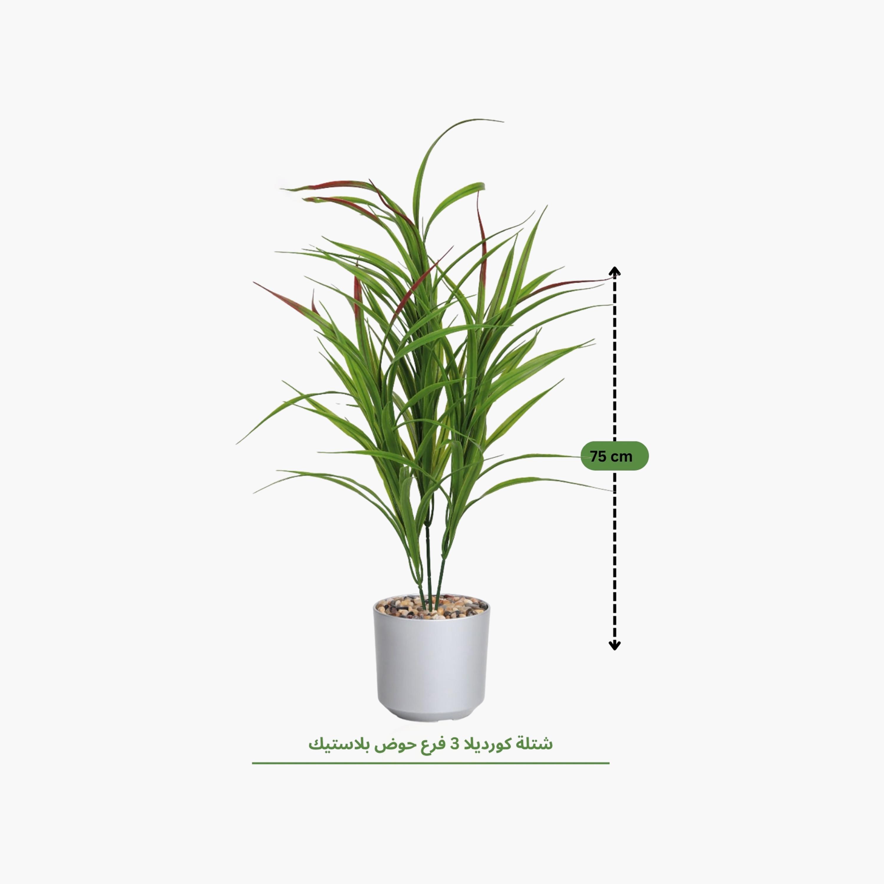 Maria Homes Potted Artificial Cordyline Plant-household-gardenandoutdoor-artificialflowersandplants-flowers-image-4
