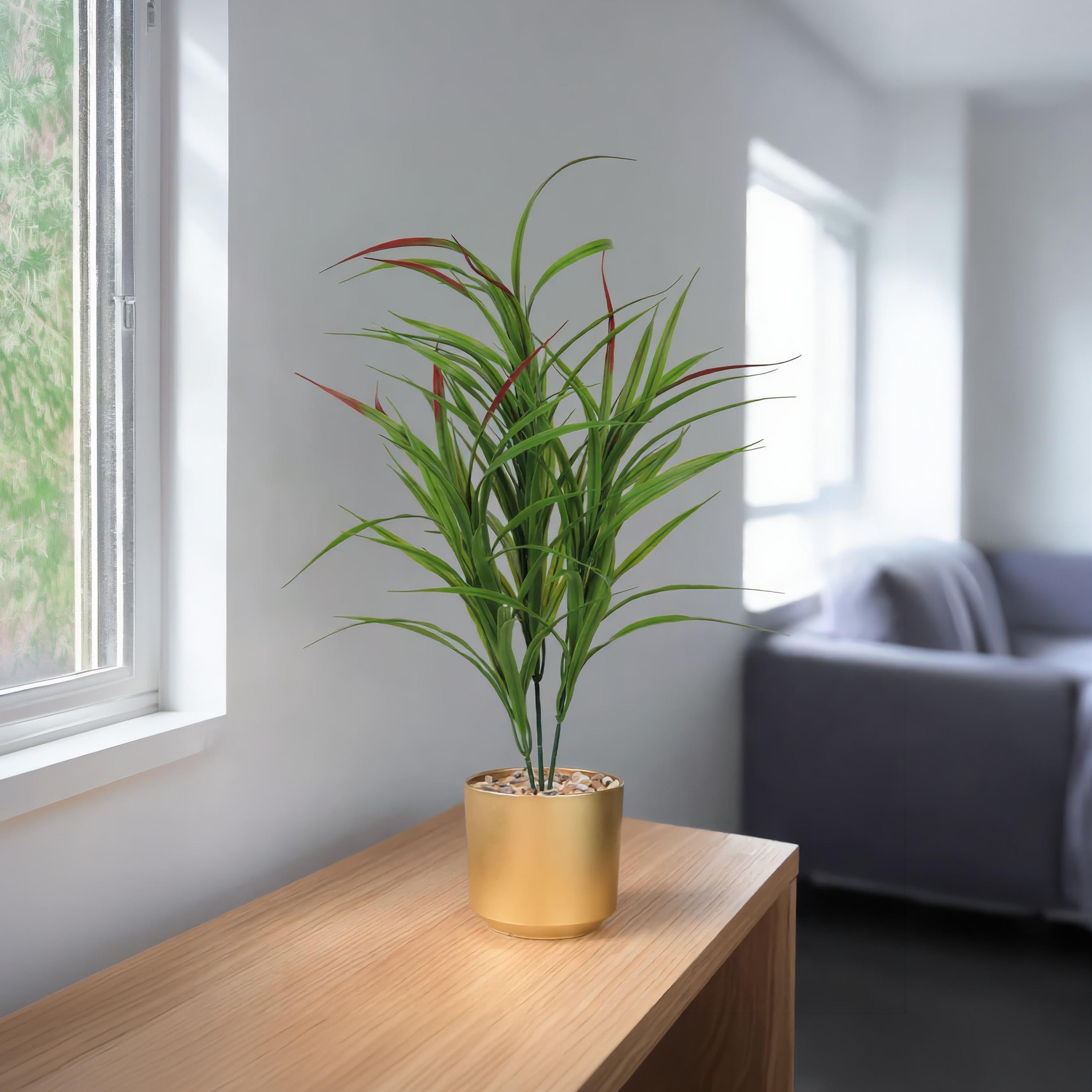 نبتة كوردلين صناعية بأصيص من ماريا هومز-household-gardenandoutdoor-artificialflowersandplants-flowers-image-1