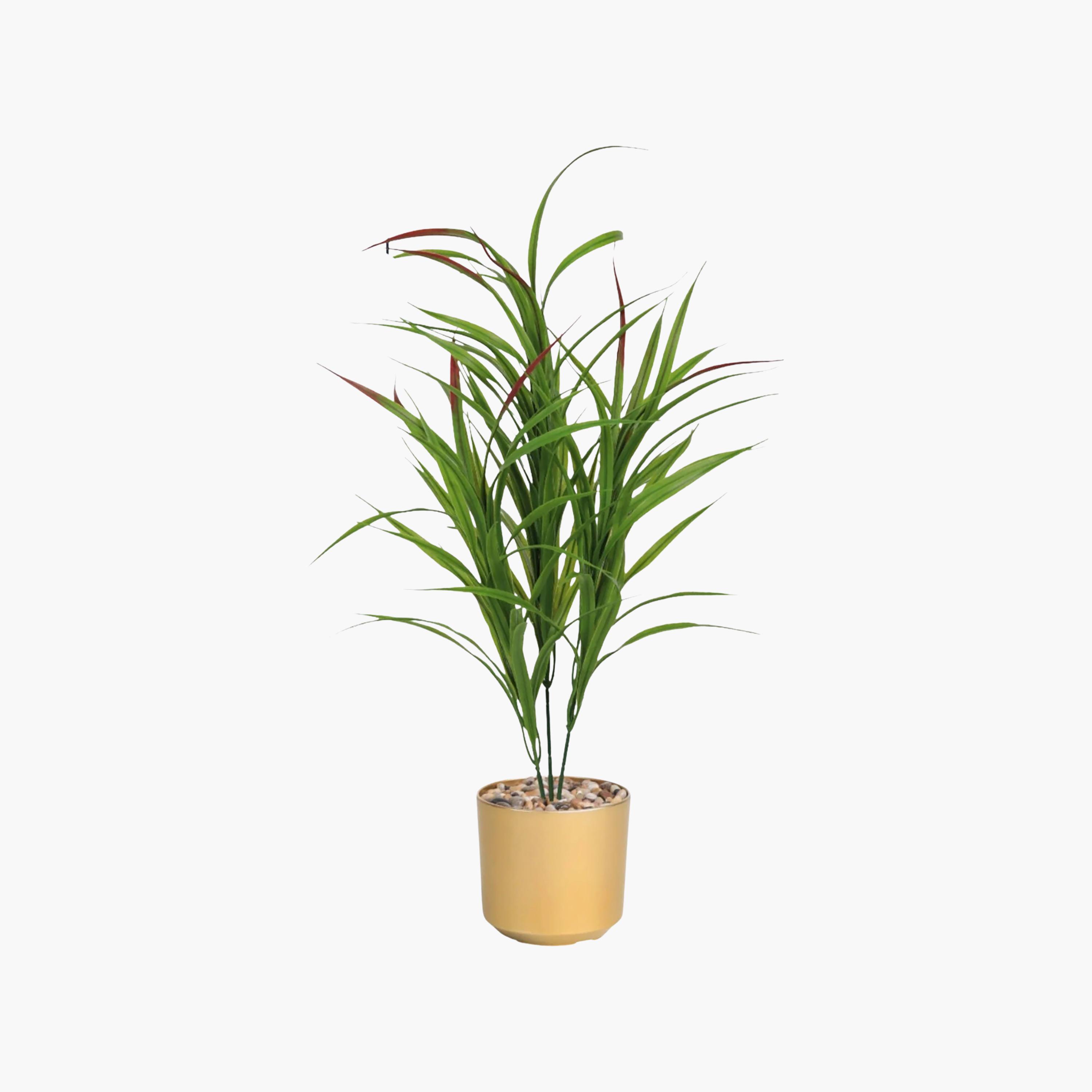 نبتة كوردلين صناعية بأصيص من ماريا هومز-household-gardenandoutdoor-artificialflowersandplants-flowers-image-2