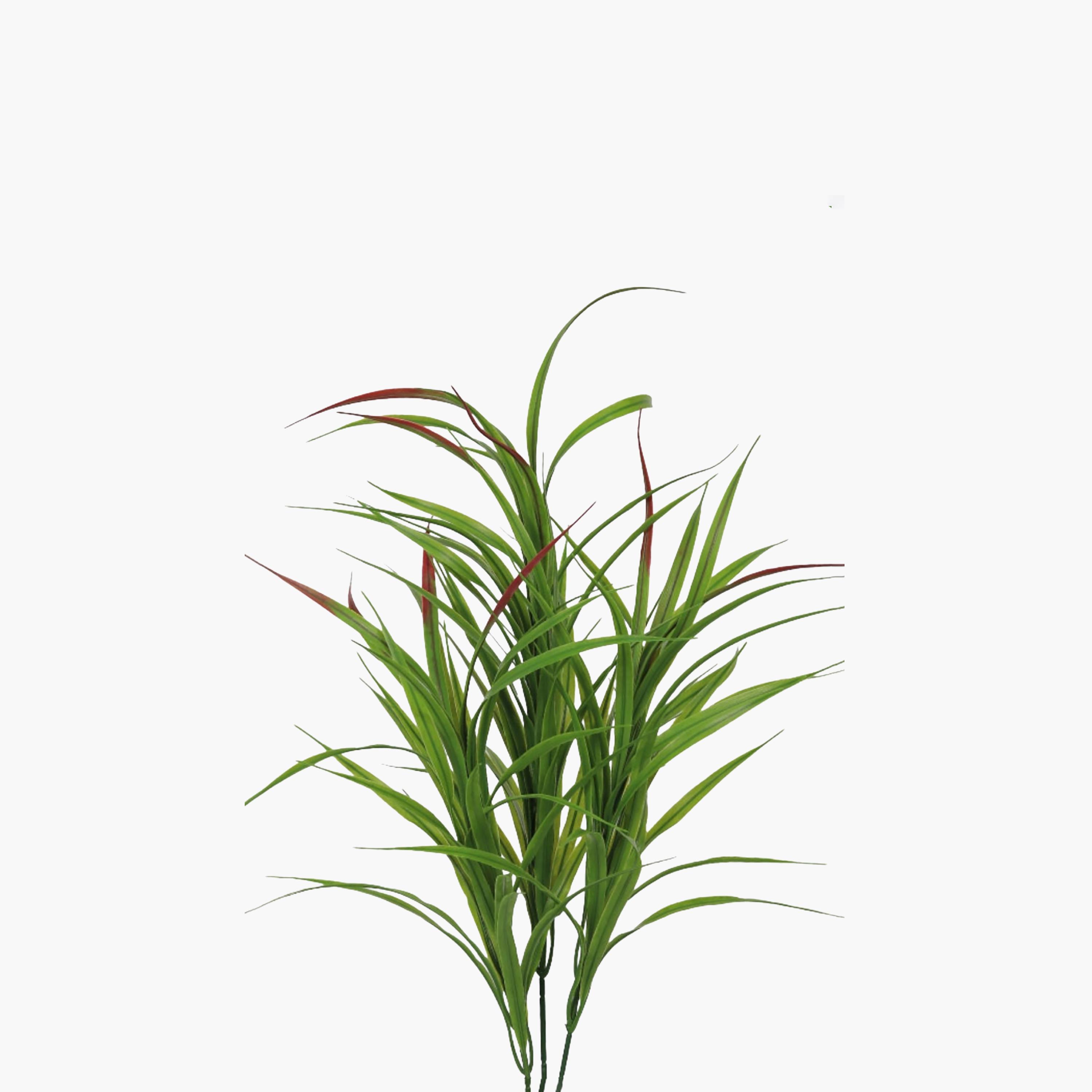 نبتة كوردلين صناعية بأصيص من ماريا هومز-household-gardenandoutdoor-artificialflowersandplants-flowers-image-3