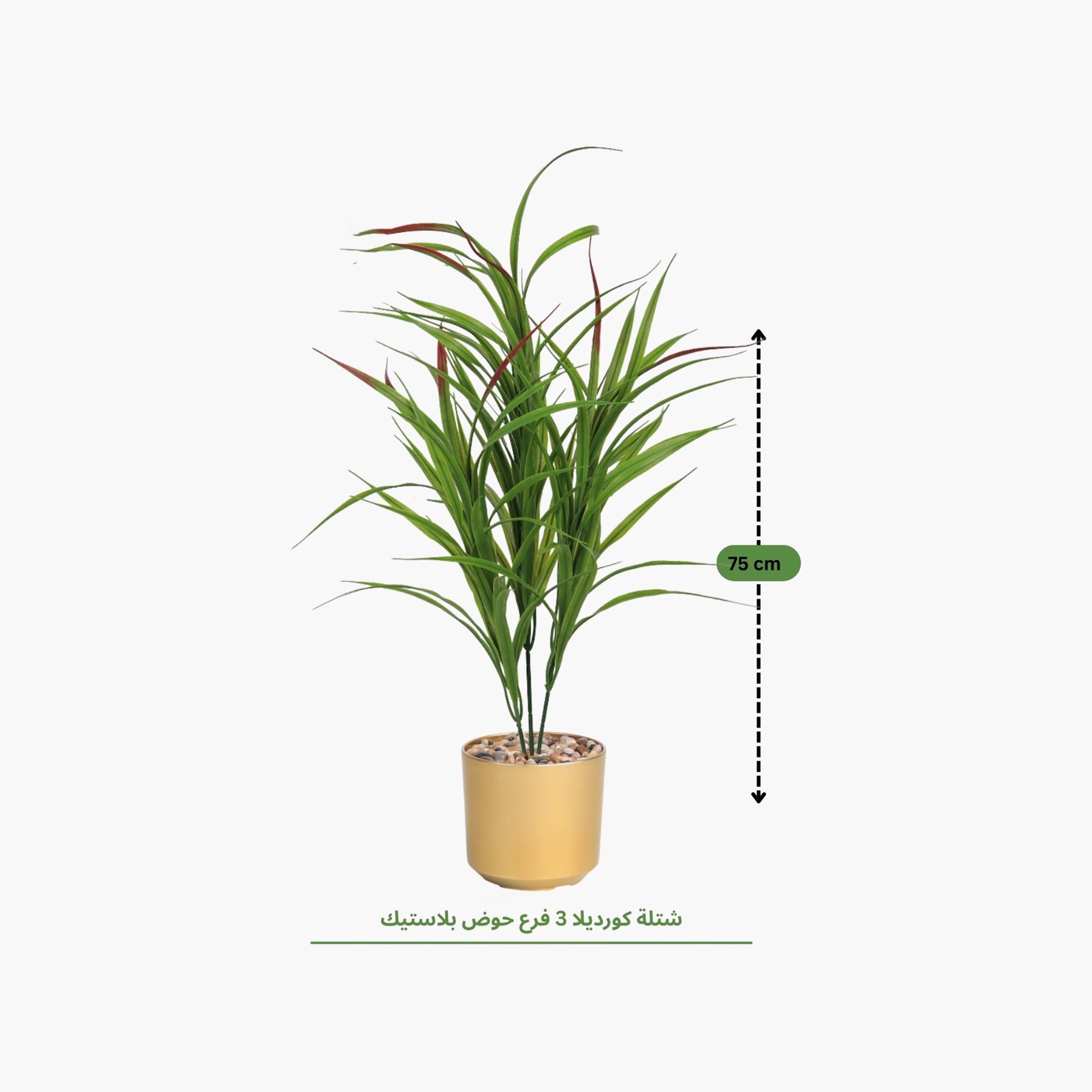 نبتة كوردلين صناعية بأصيص من ماريا هومز-household-gardenandoutdoor-artificialflowersandplants-flowers-image-4