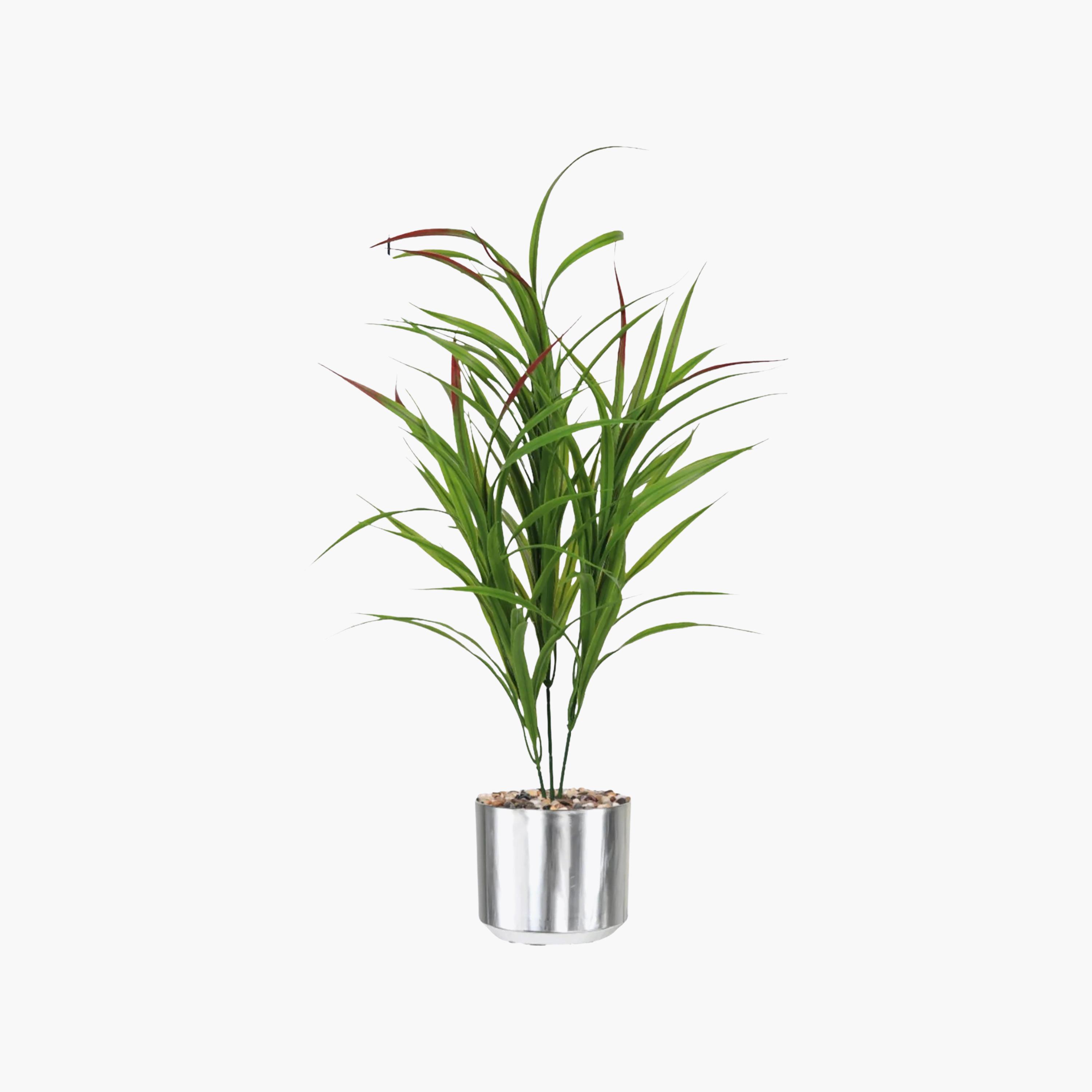 نبتة كوردلين صناعية بأصيص من ماريا هومز-household-gardenandoutdoor-artificialflowersandplants-flowers-image-2