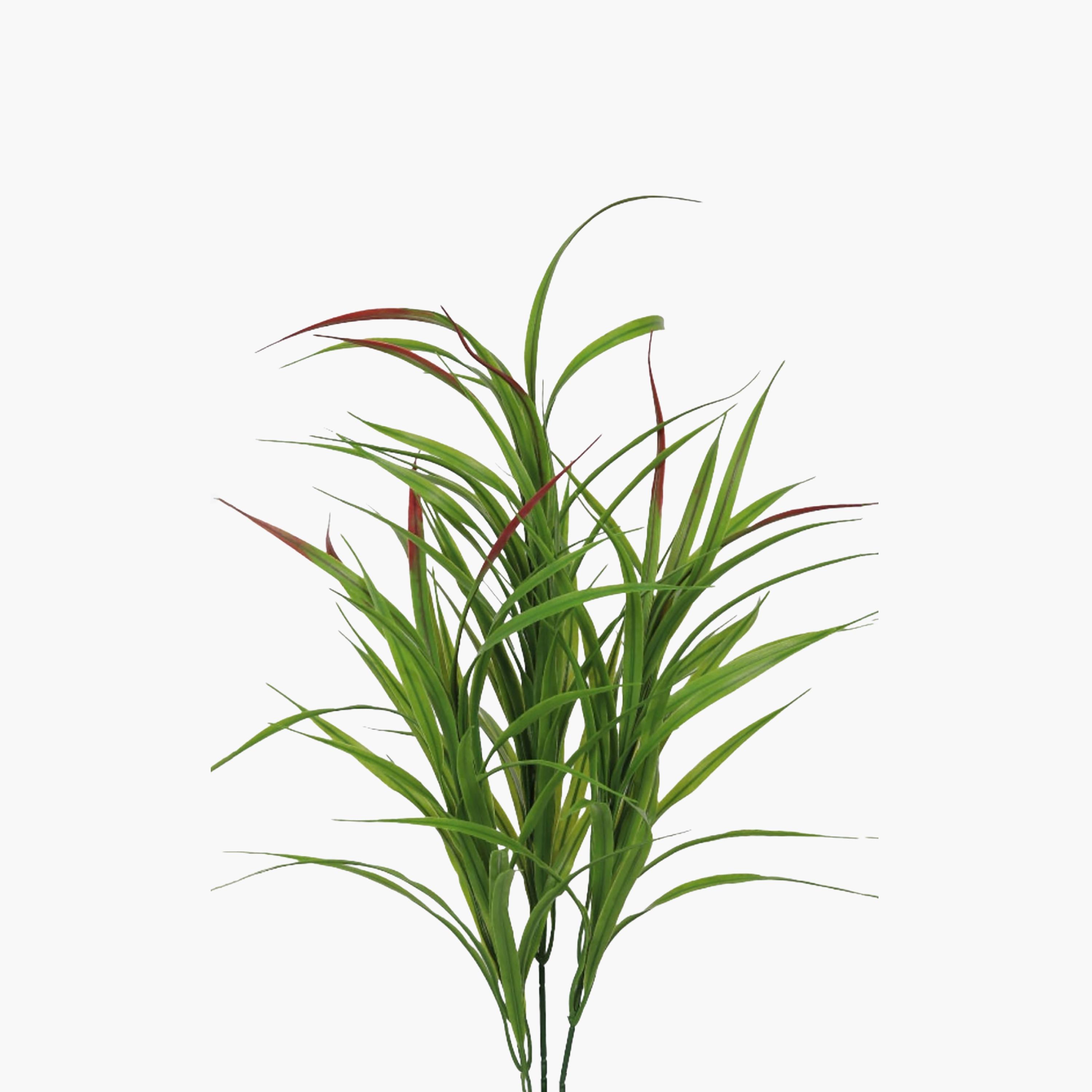 نبتة كوردلين صناعية بأصيص من ماريا هومز-household-gardenandoutdoor-artificialflowersandplants-flowers-image-3