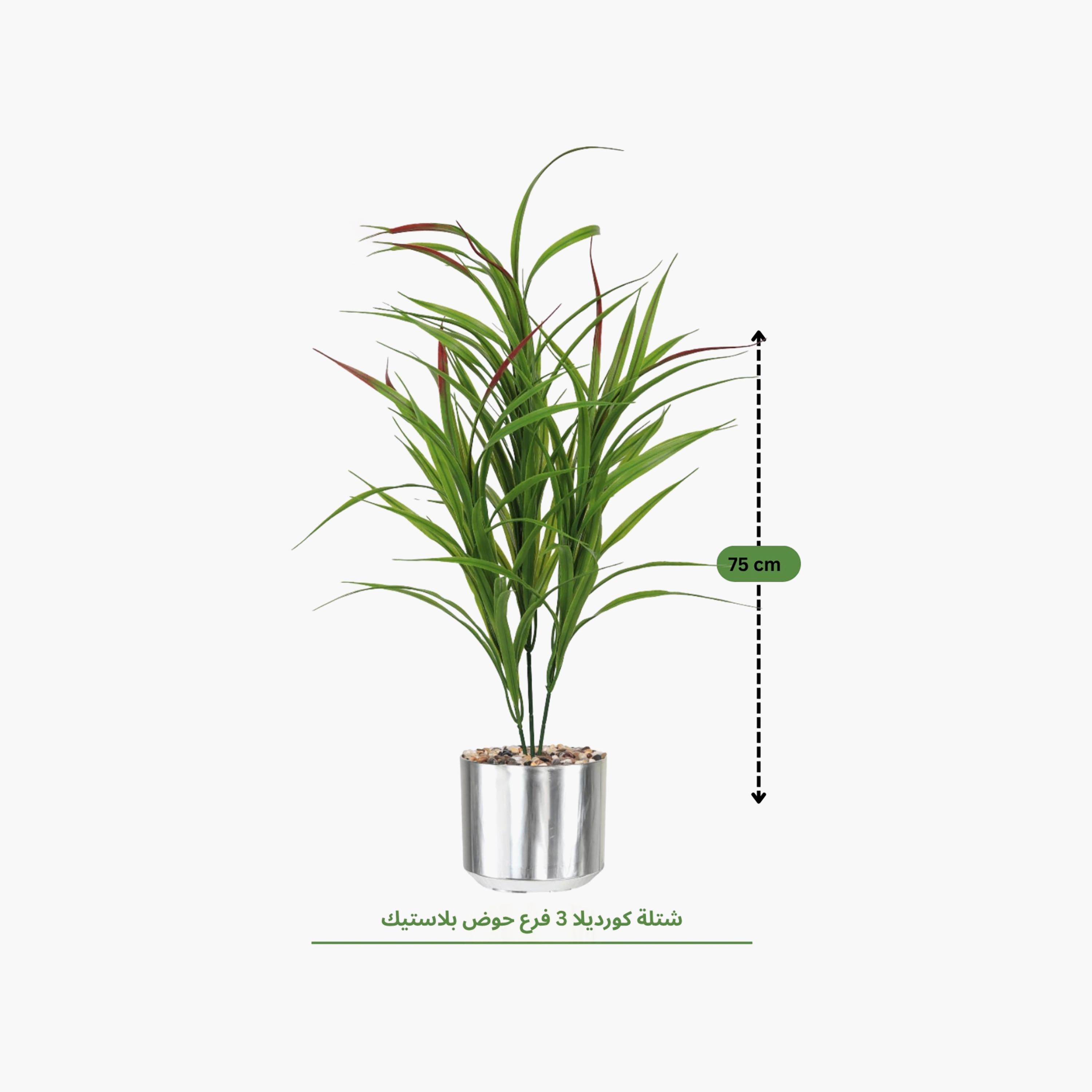نبتة كوردلين صناعية بأصيص من ماريا هومز-household-gardenandoutdoor-artificialflowersandplants-flowers-image-4
