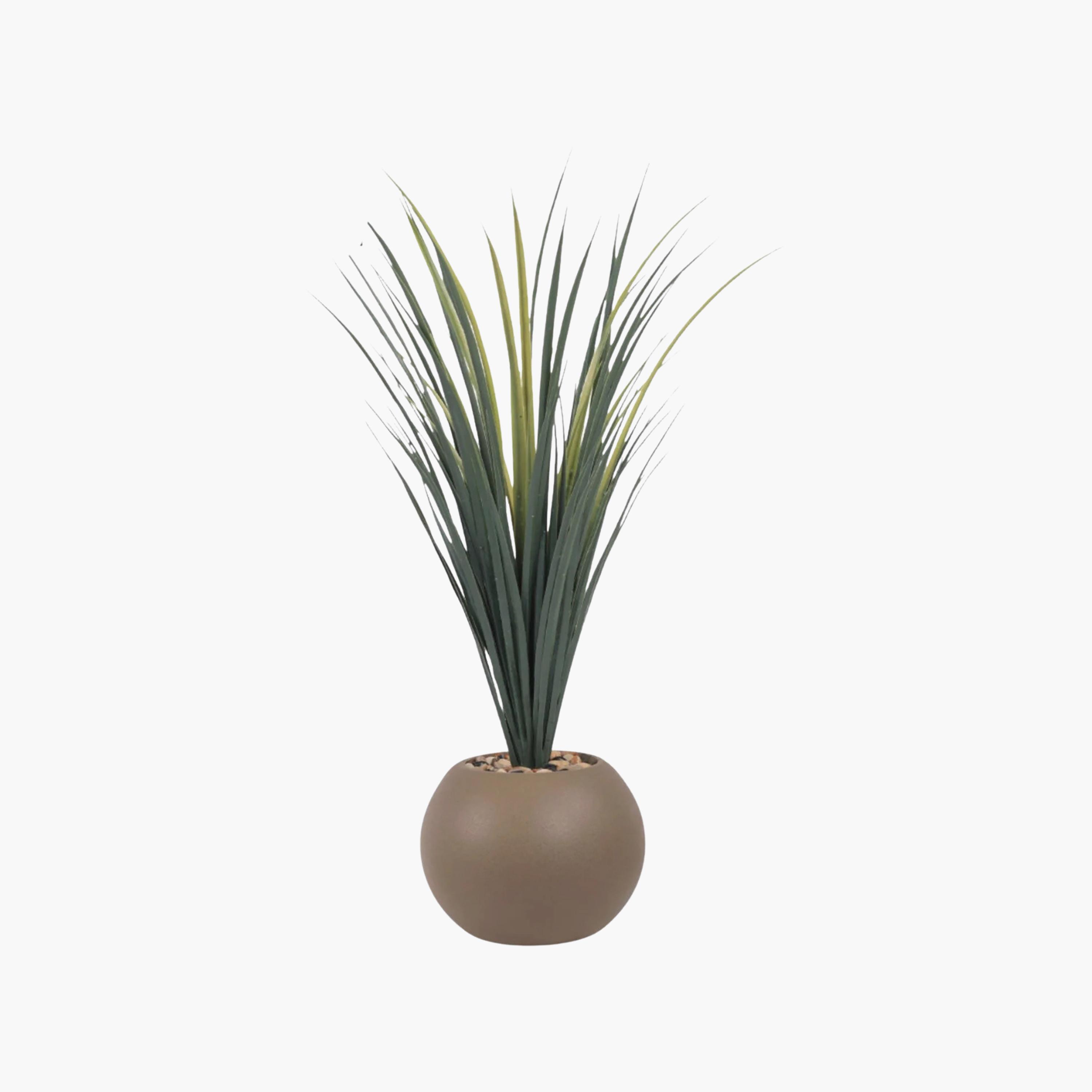 Maria Homes Potted Artificial Succulent Plant-household-gardenandoutdoor-artificialflowersandplants-flowers-image-2