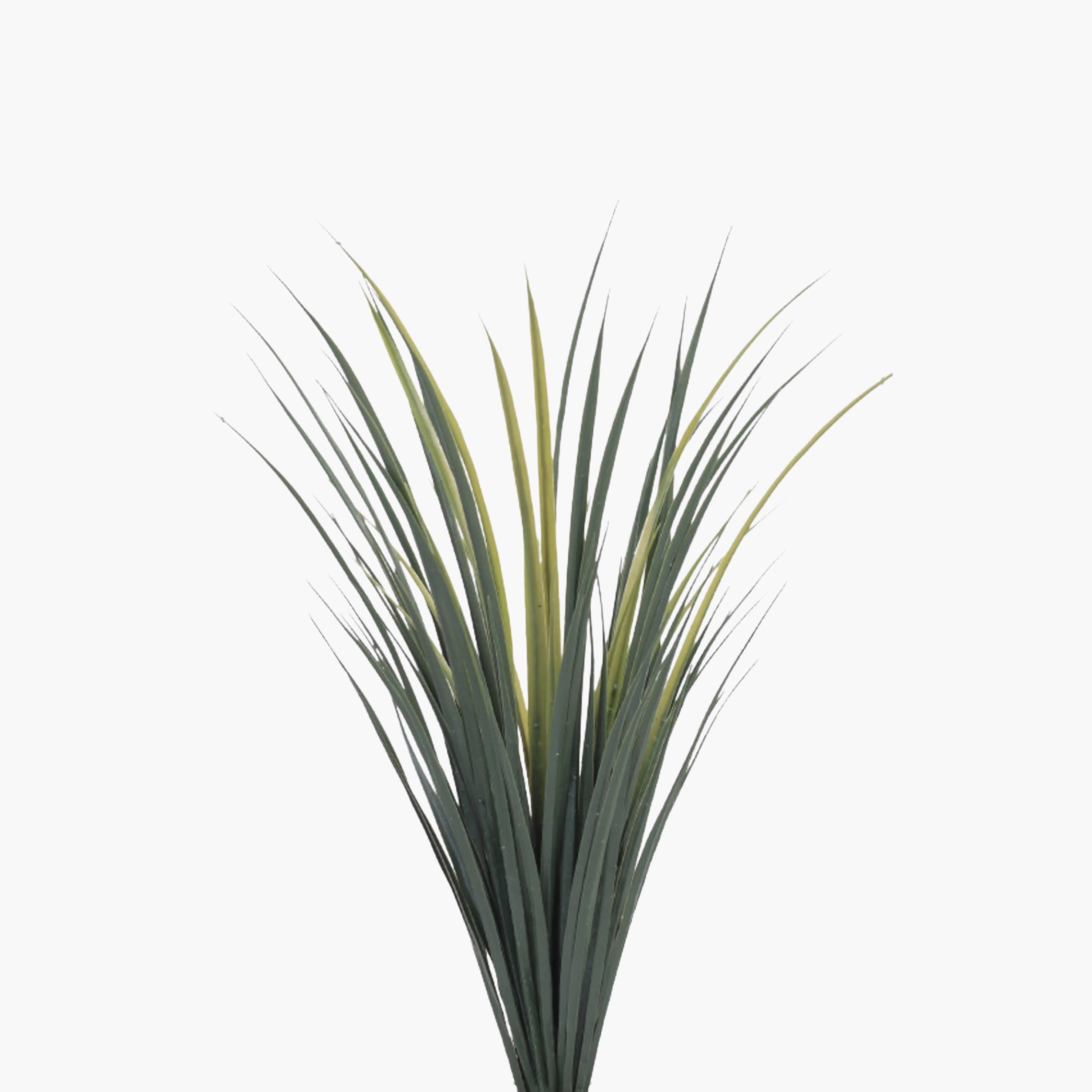 Maria Homes Potted Artificial Succulent Plant-household-gardenandoutdoor-artificialflowersandplants-flowers-image-3