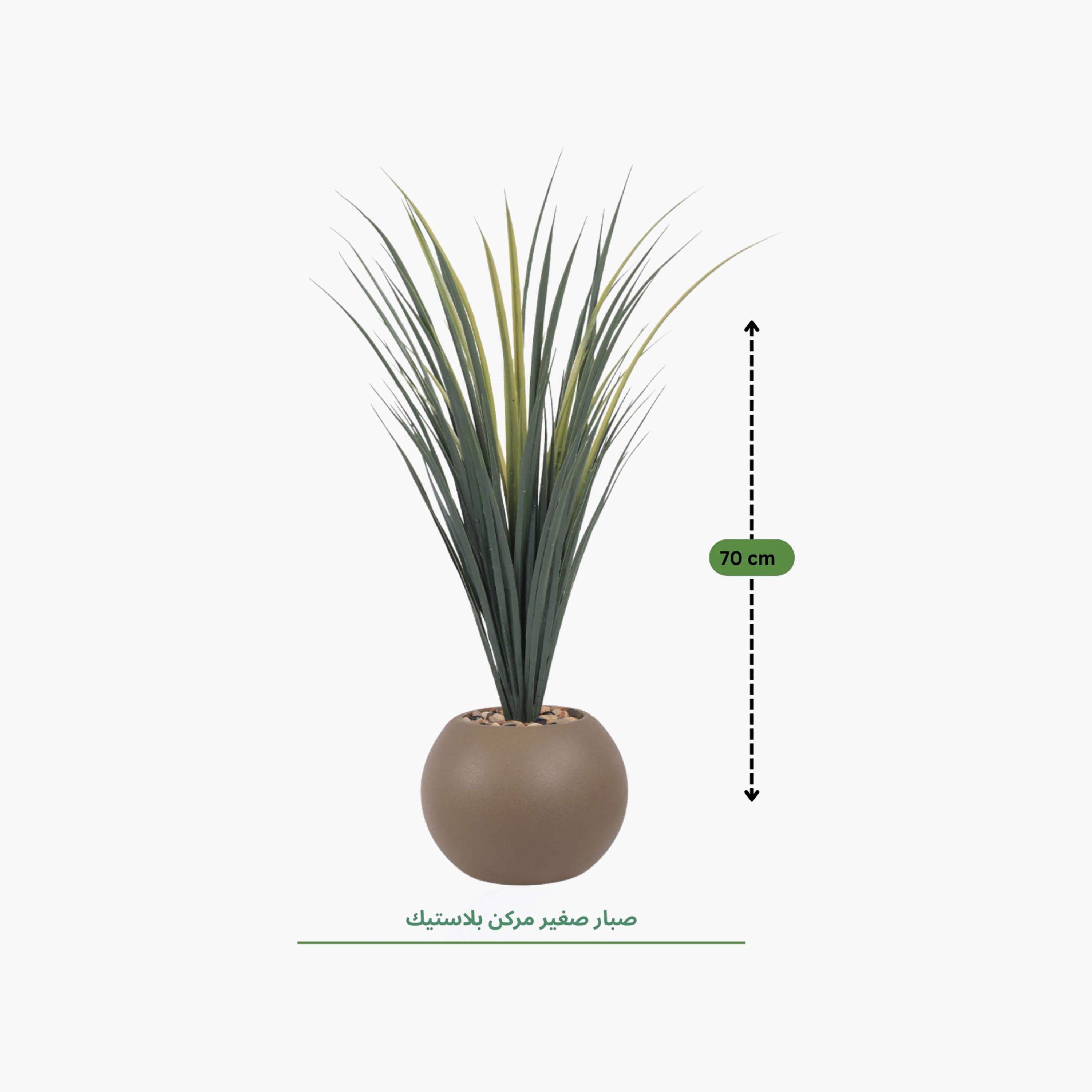 Maria Homes Potted Artificial Succulent Plant-household-gardenandoutdoor-artificialflowersandplants-flowers-image-4