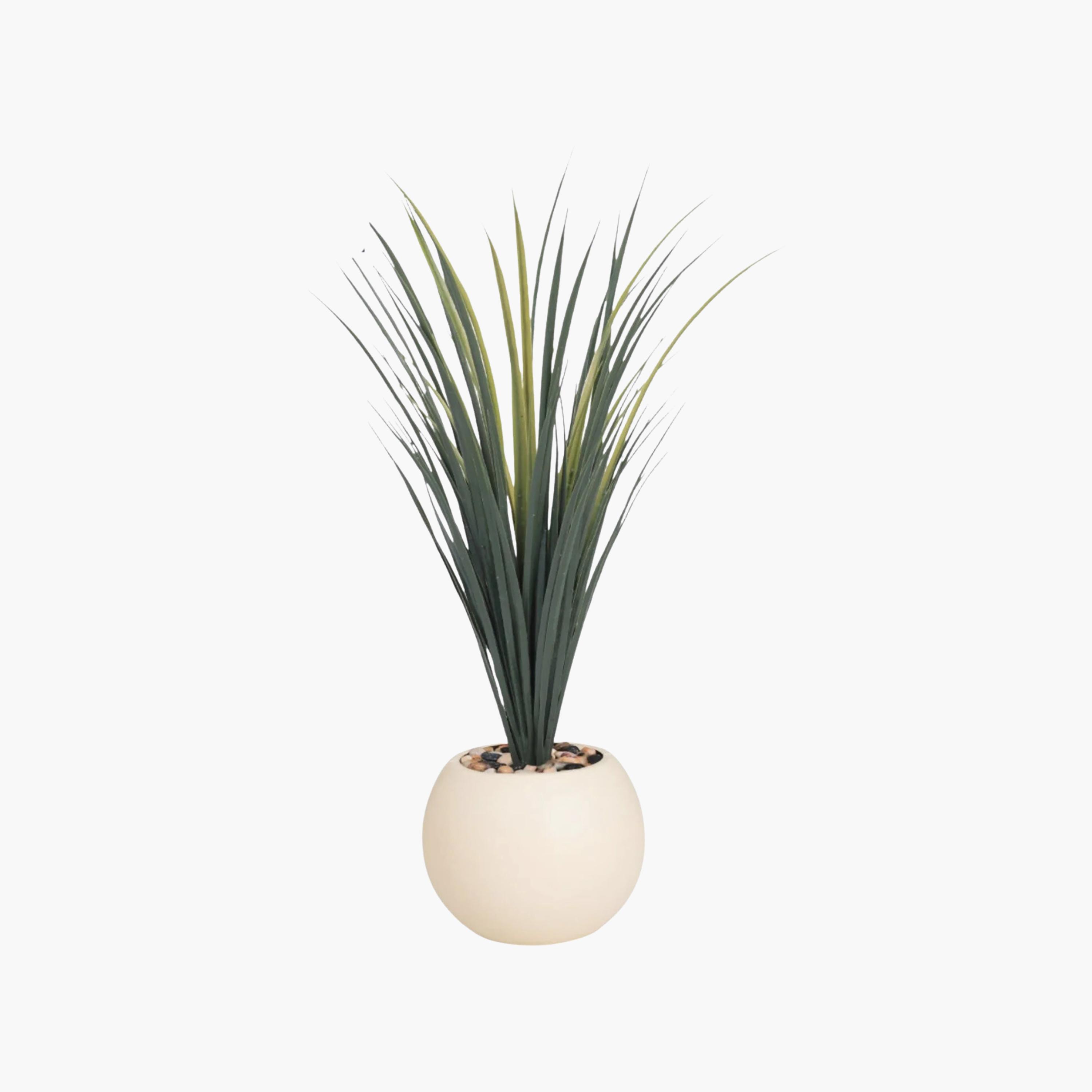 نبات صناعي عصاري بأصيص من ماريا هومز-household-gardenandoutdoor-artificialflowersandplants-flowers-image-2