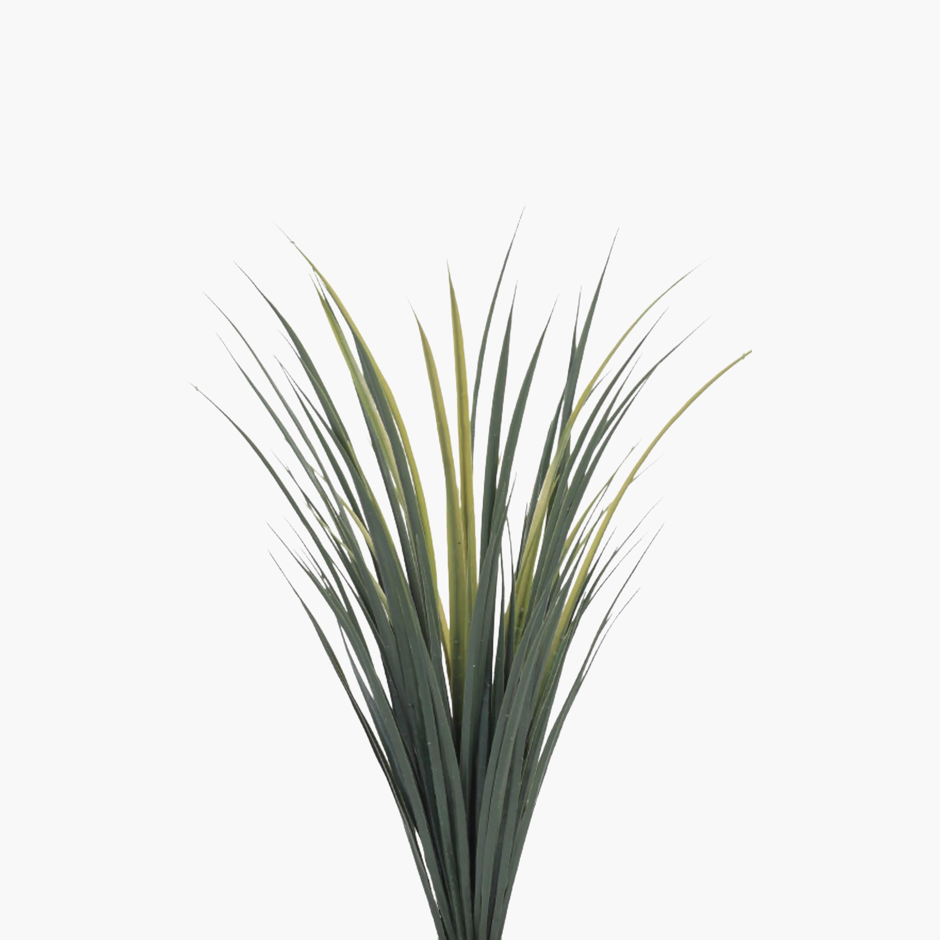 نبات صناعي عصاري بأصيص من ماريا هومز-household-gardenandoutdoor-artificialflowersandplants-flowers-image-3
