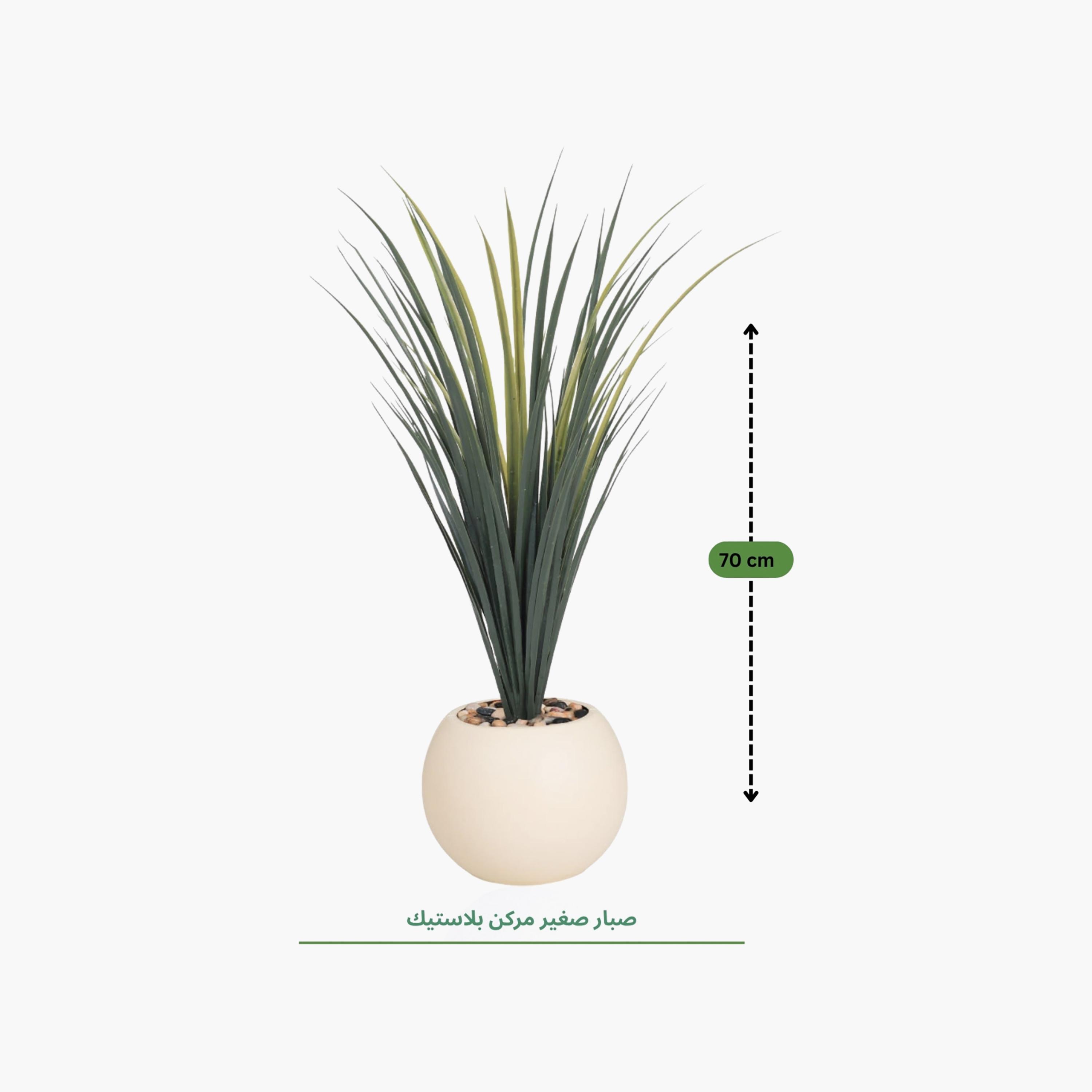 نبات صناعي عصاري بأصيص من ماريا هومز-household-gardenandoutdoor-artificialflowersandplants-flowers-image-4
