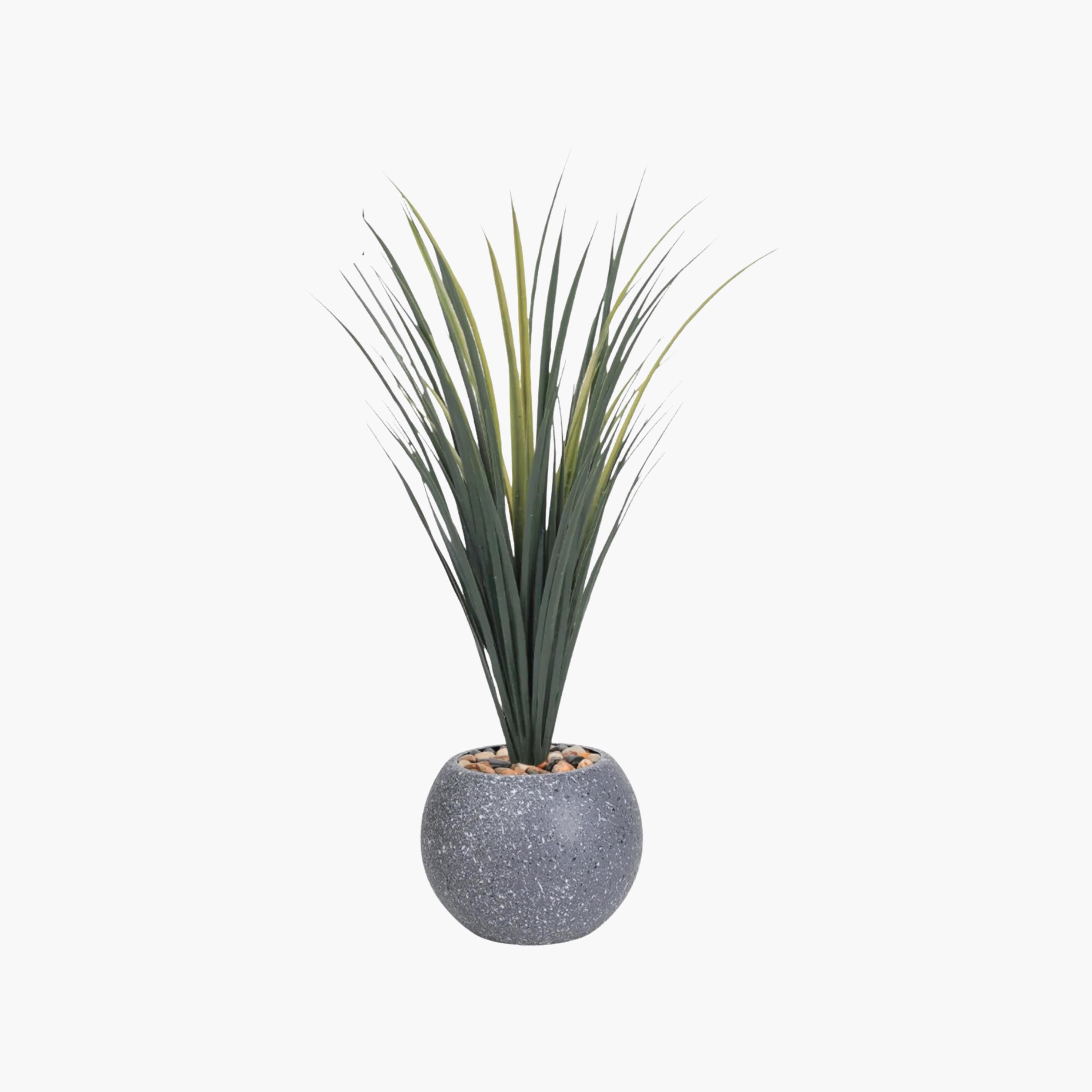 Maria Homes Potted Artificial Succulent Plant-household-gardenandoutdoor-artificialflowersandplants-flowers-image-2