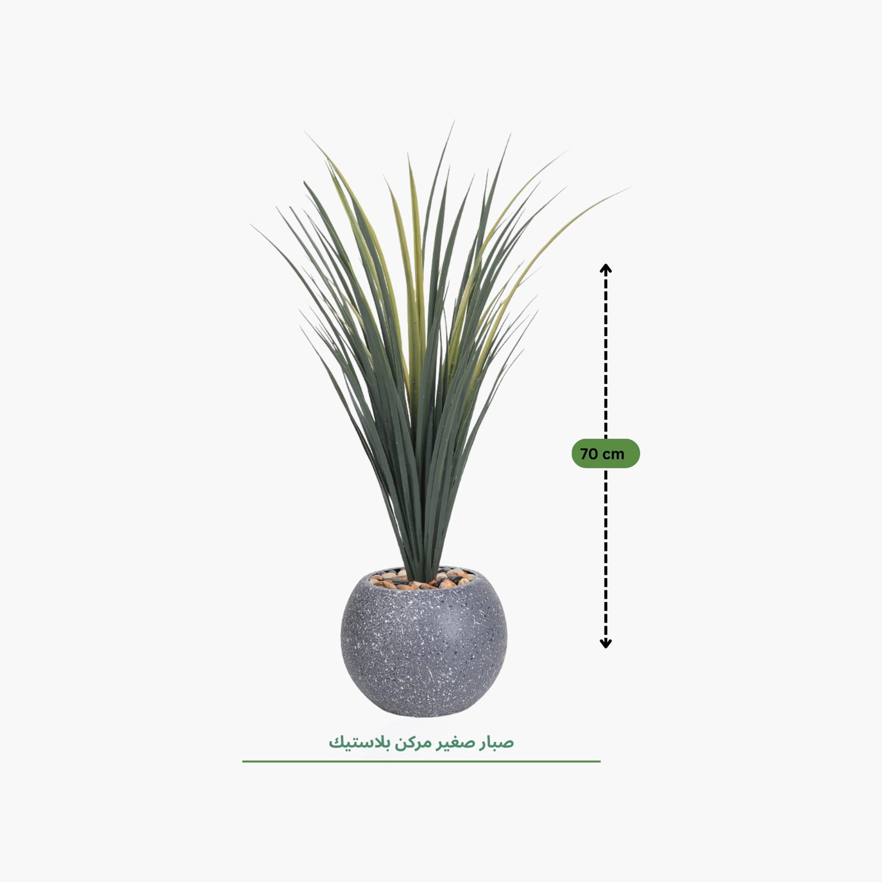 Maria Homes Potted Artificial Succulent Plant-household-gardenandoutdoor-artificialflowersandplants-flowers-image-4