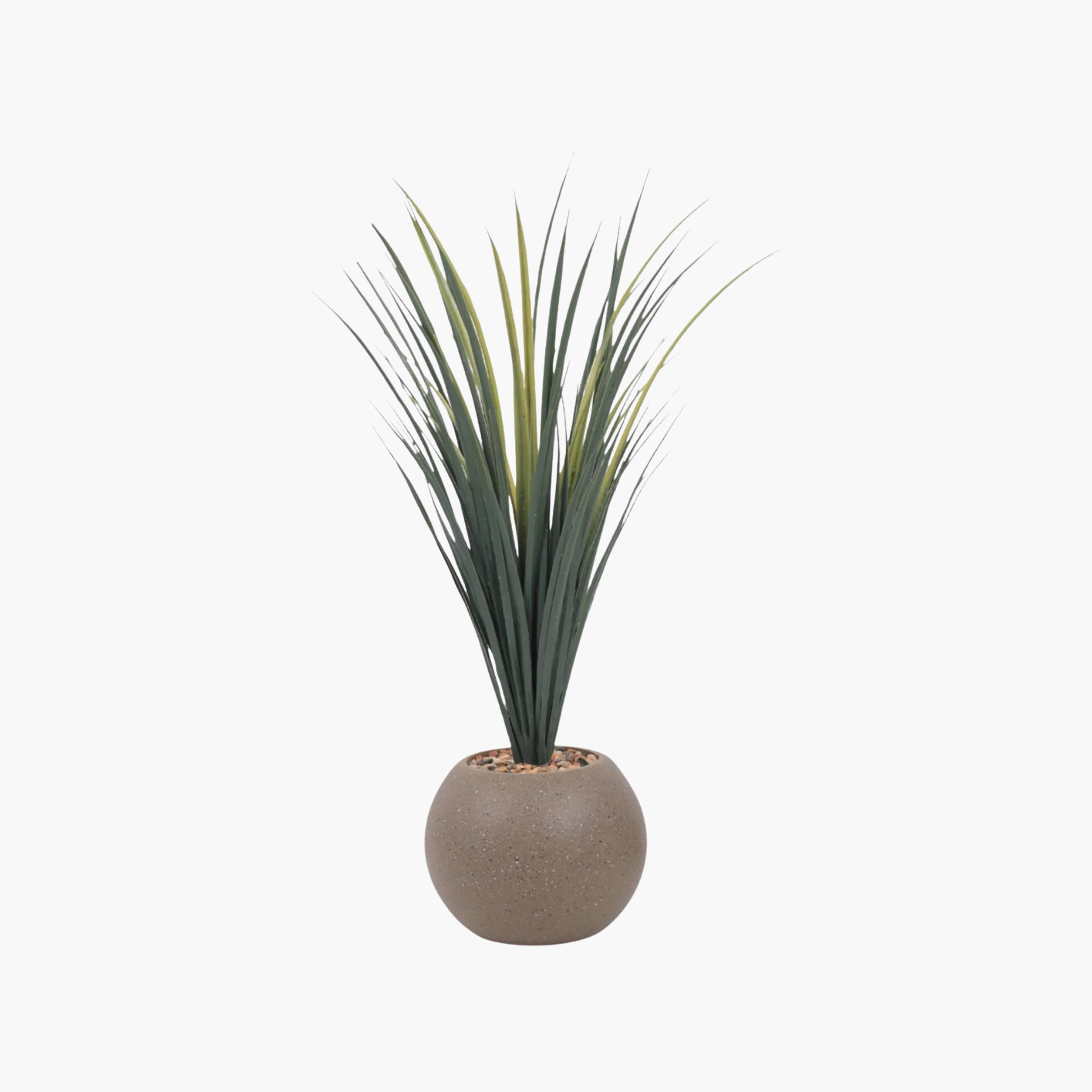 Maria Homes Potted Artificial Succulent Plant-household-gardenandoutdoor-artificialflowersandplants-flowers-image-2