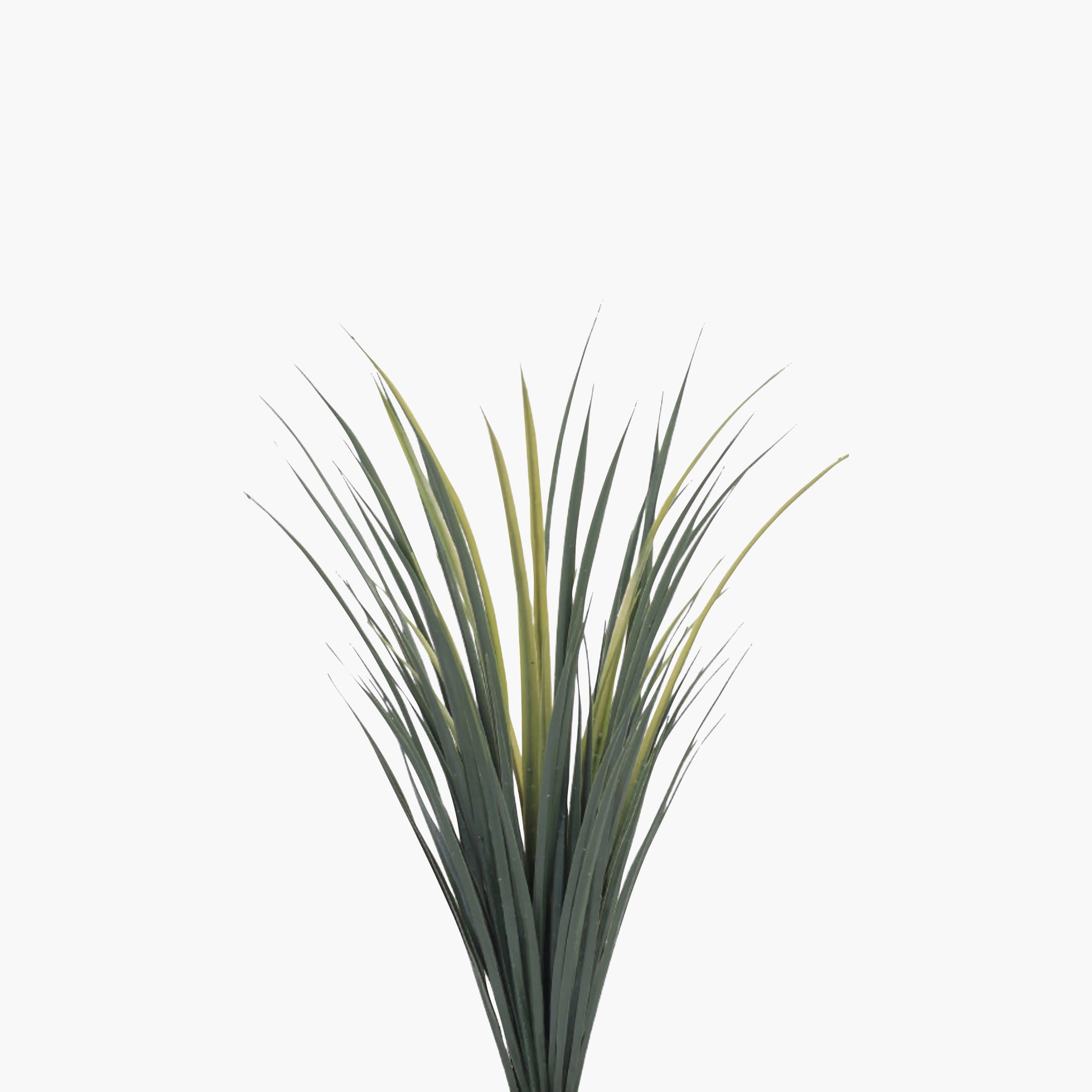 Maria Homes Potted Artificial Succulent Plant-household-gardenandoutdoor-artificialflowersandplants-flowers-image-3