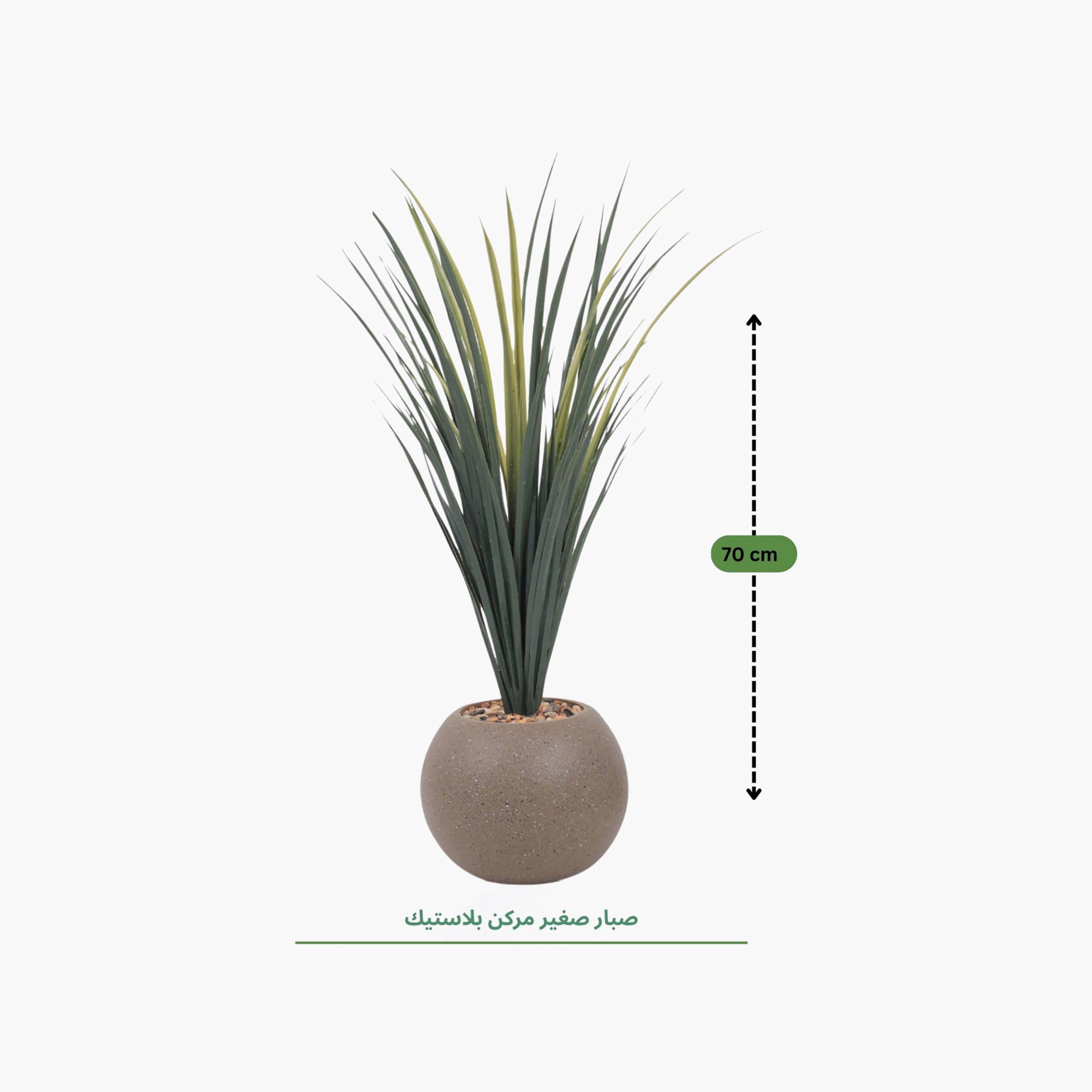 Maria Homes Potted Artificial Succulent Plant-household-gardenandoutdoor-artificialflowersandplants-flowers-image-4