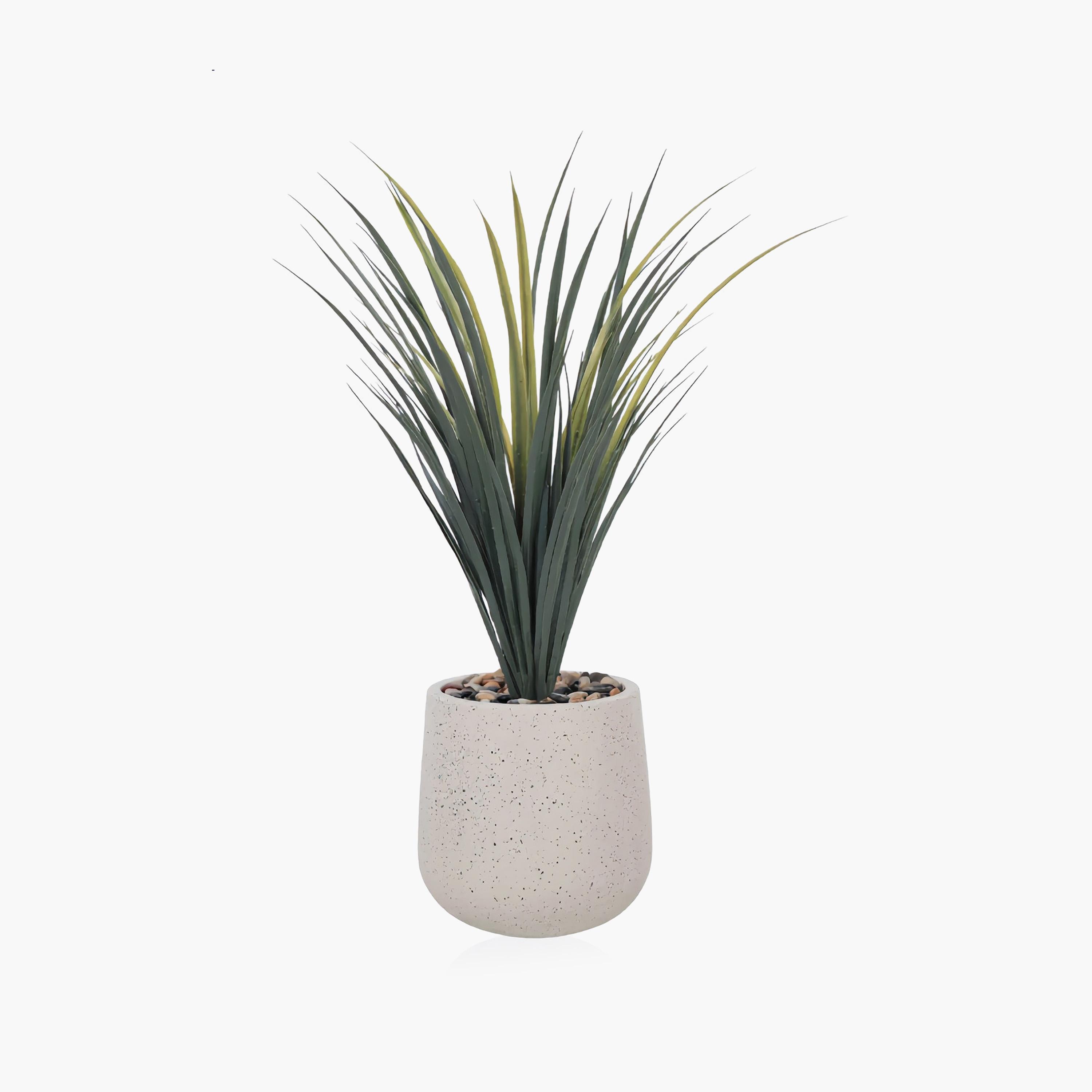 Maria Homes Potted Artificial Grass Plant-household-gardenandoutdoor-artificialflowersandplants-flowers-image-2