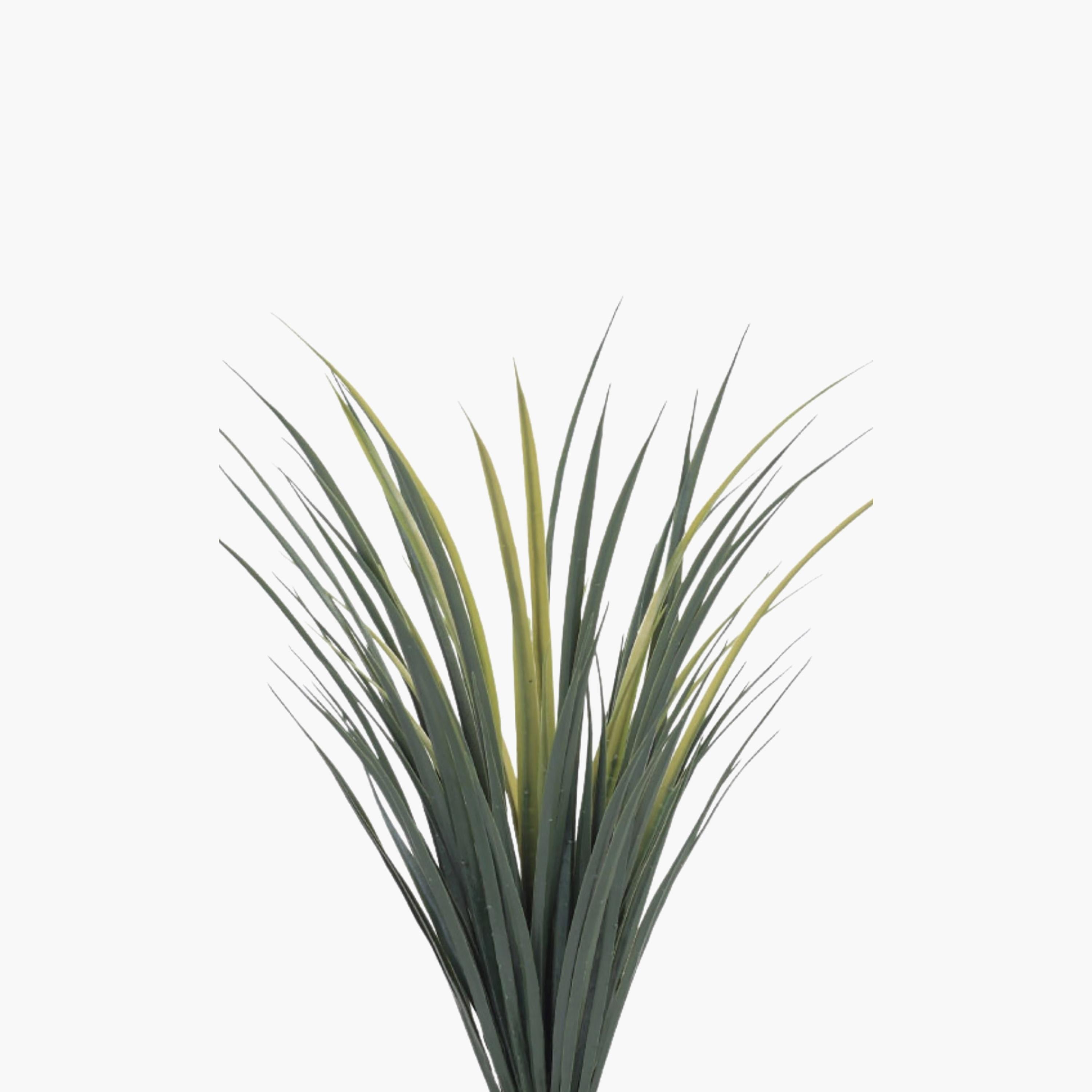 Maria Homes Potted Artificial Grass Plant-household-gardenandoutdoor-artificialflowersandplants-flowers-image-3