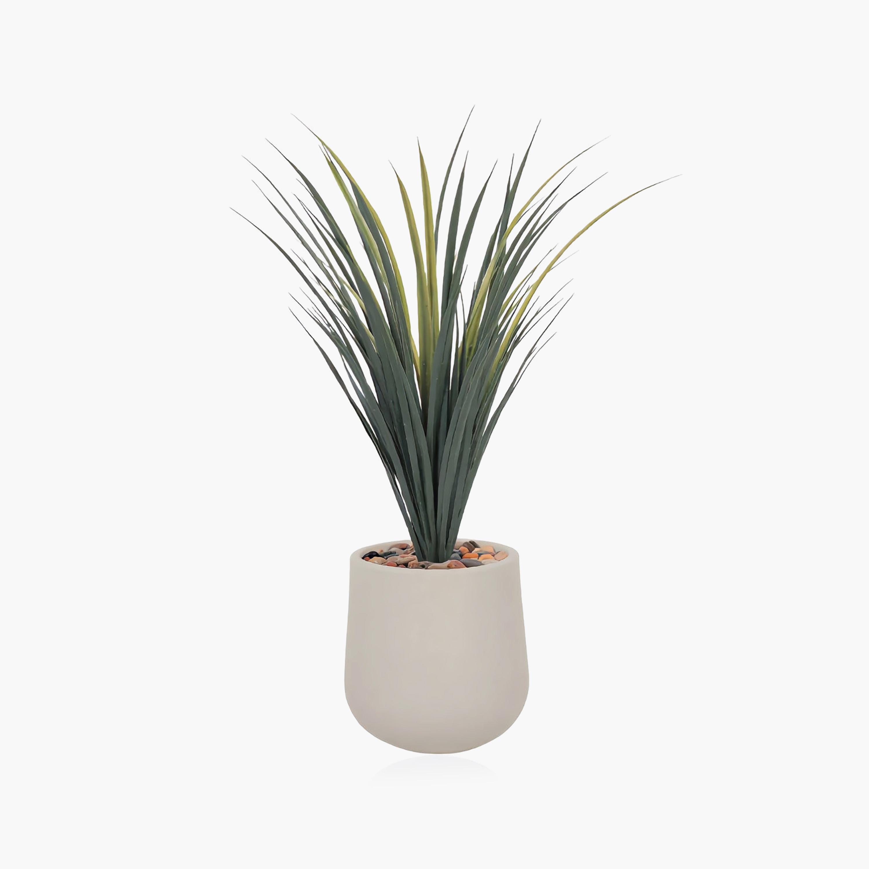 نبات عشب صناعي في أصيص من ماريا هومز-household-gardenandoutdoor-artificialflowersandplants-flowers-image-4