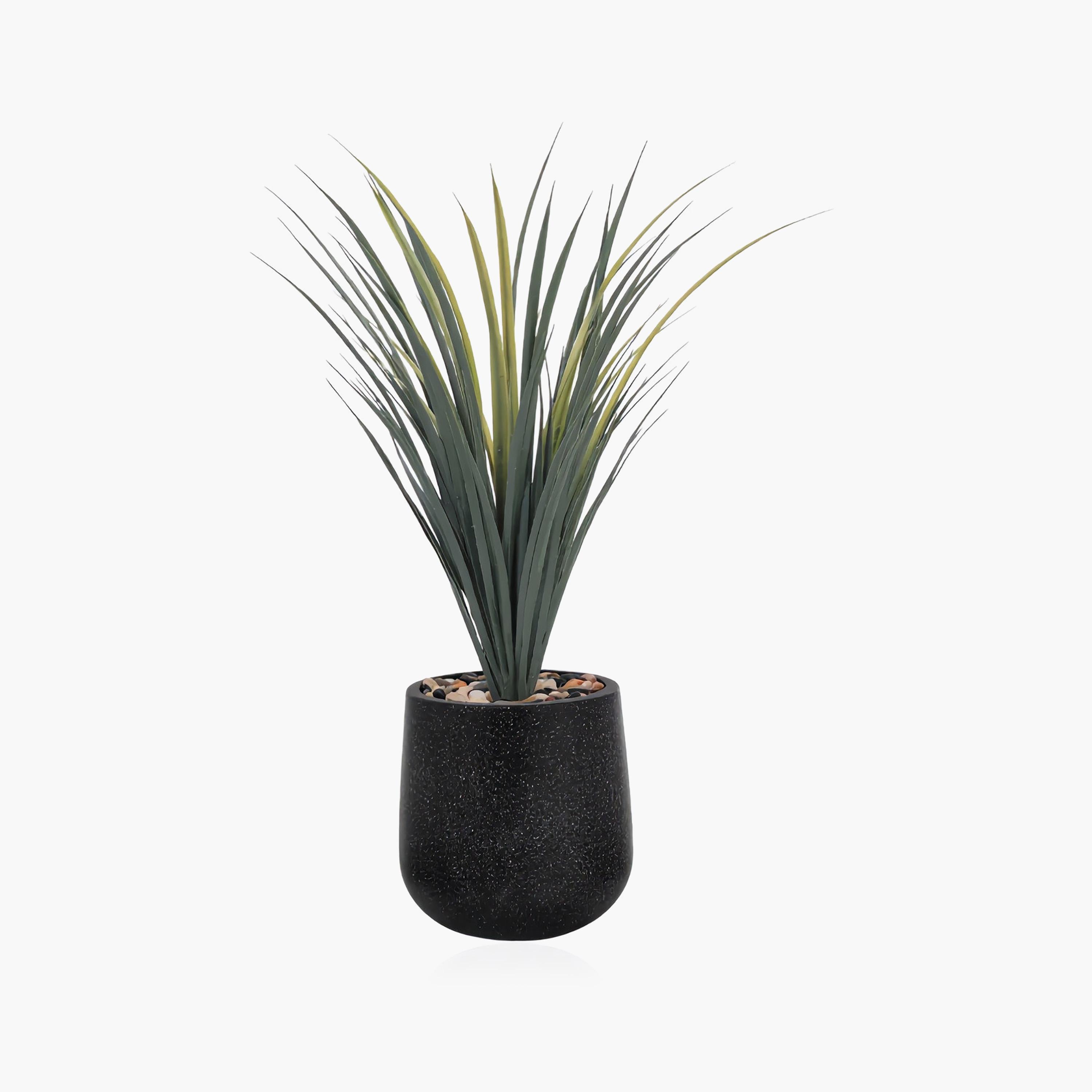 Maria Homes Potted Artificial Grass Plant-household-gardenandoutdoor-artificialflowersandplants-flowers-image-2