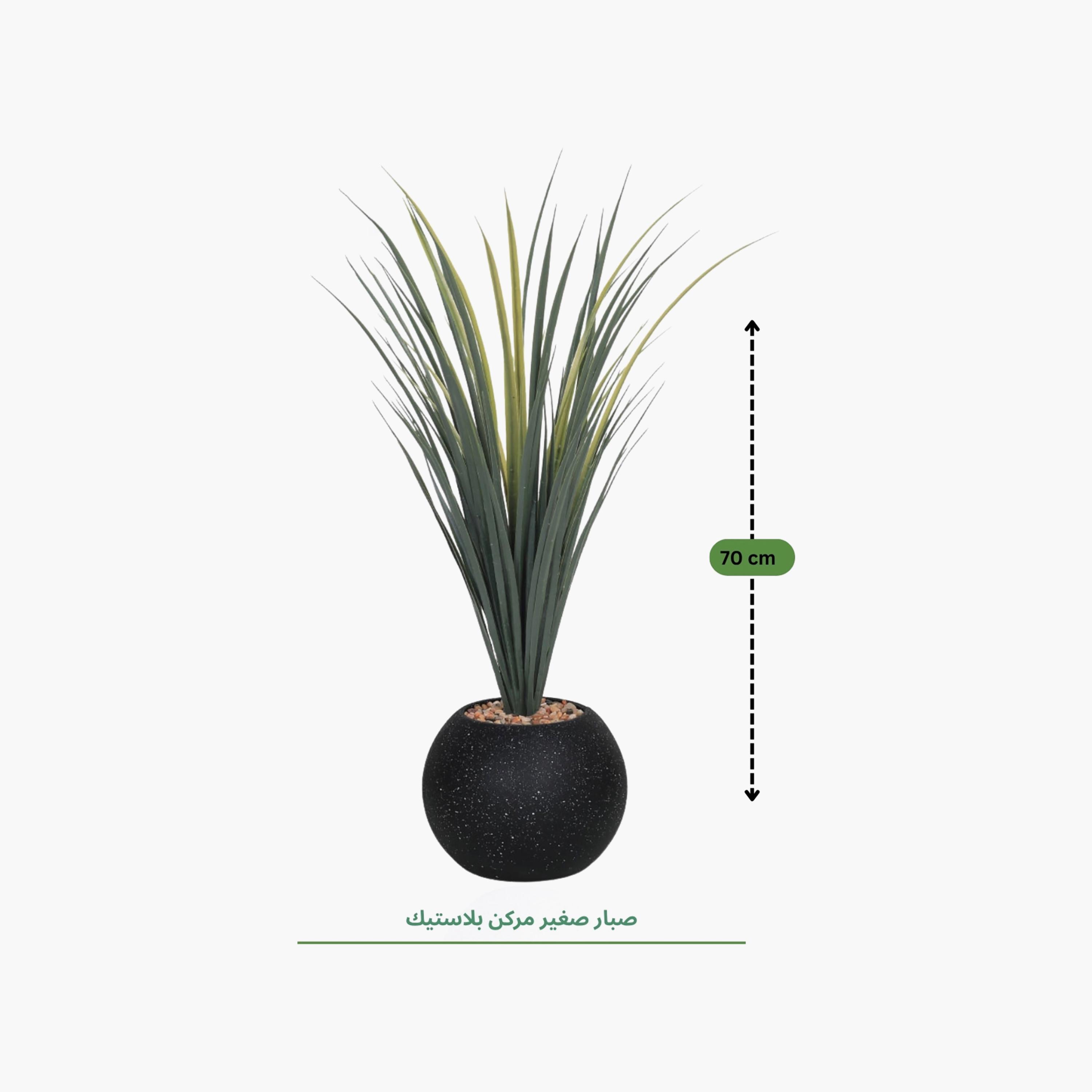 نبات صناعي عصاري بأصيص من ماريا هومز-household-gardenandoutdoor-artificialflowersandplants-flowers-image-4