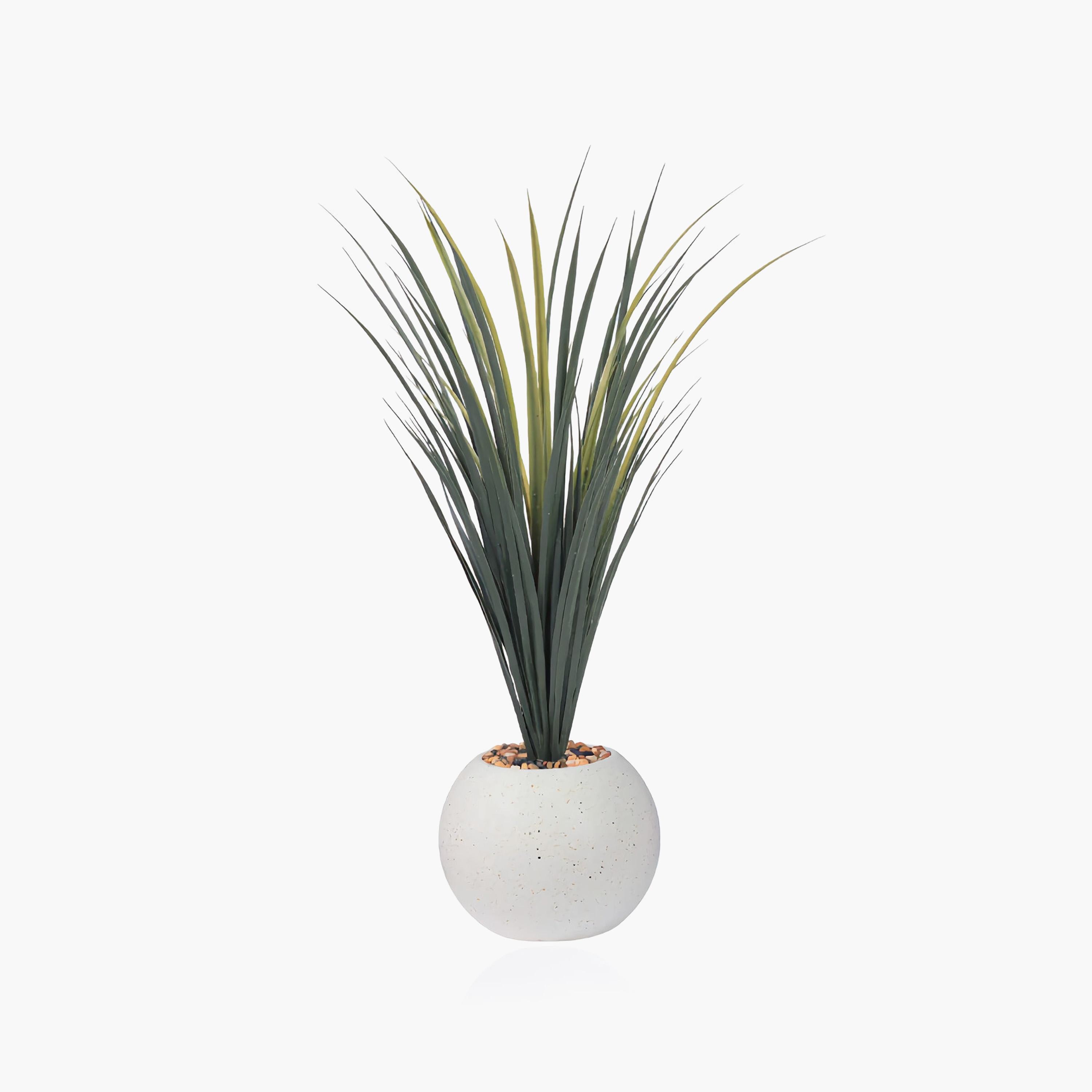 نبات صناعي عصاري بأصيص من ماريا هومز-household-gardenandoutdoor-artificialflowersandplants-flowers-image-2