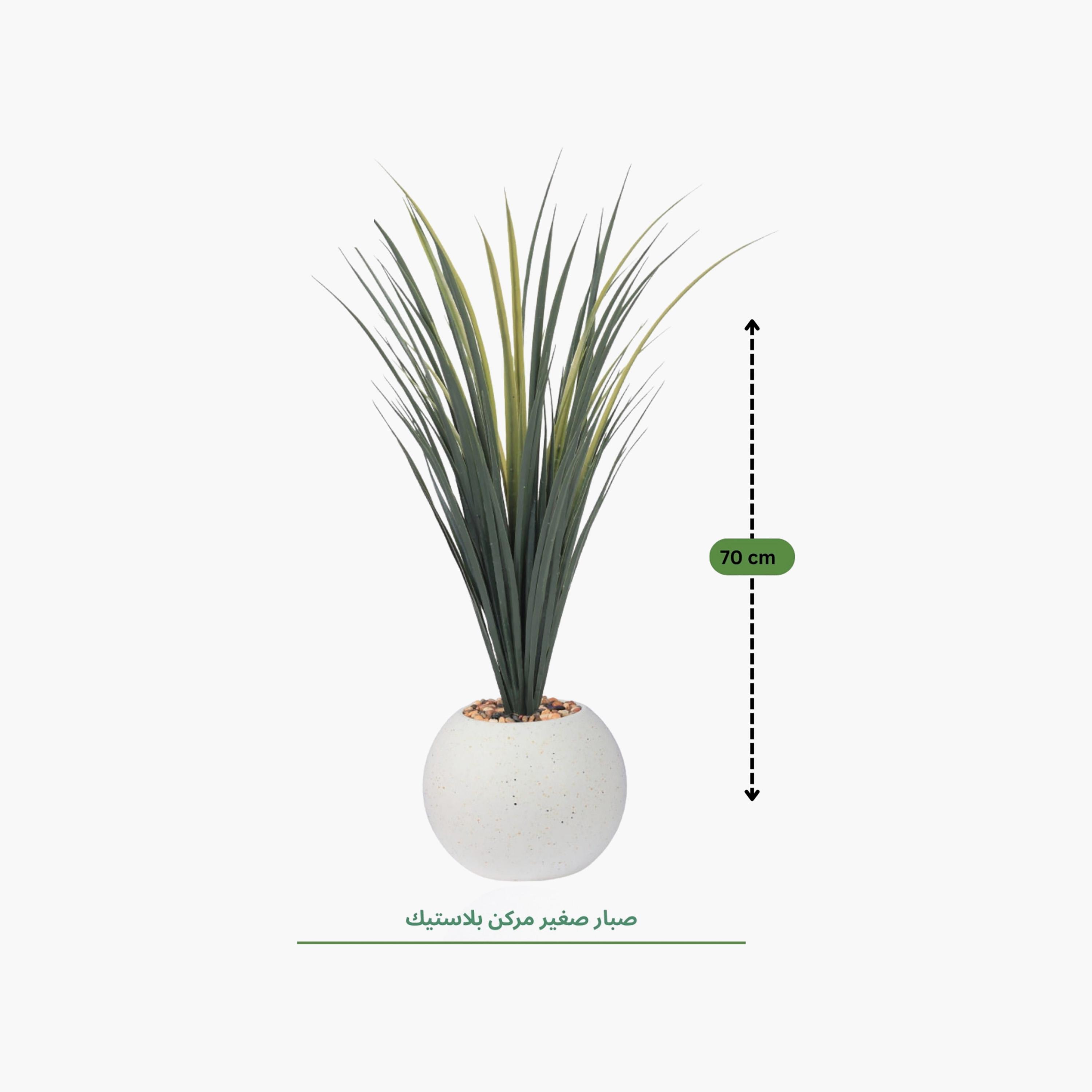 نبات صناعي عصاري بأصيص من ماريا هومز-household-gardenandoutdoor-artificialflowersandplants-flowers-image-4
