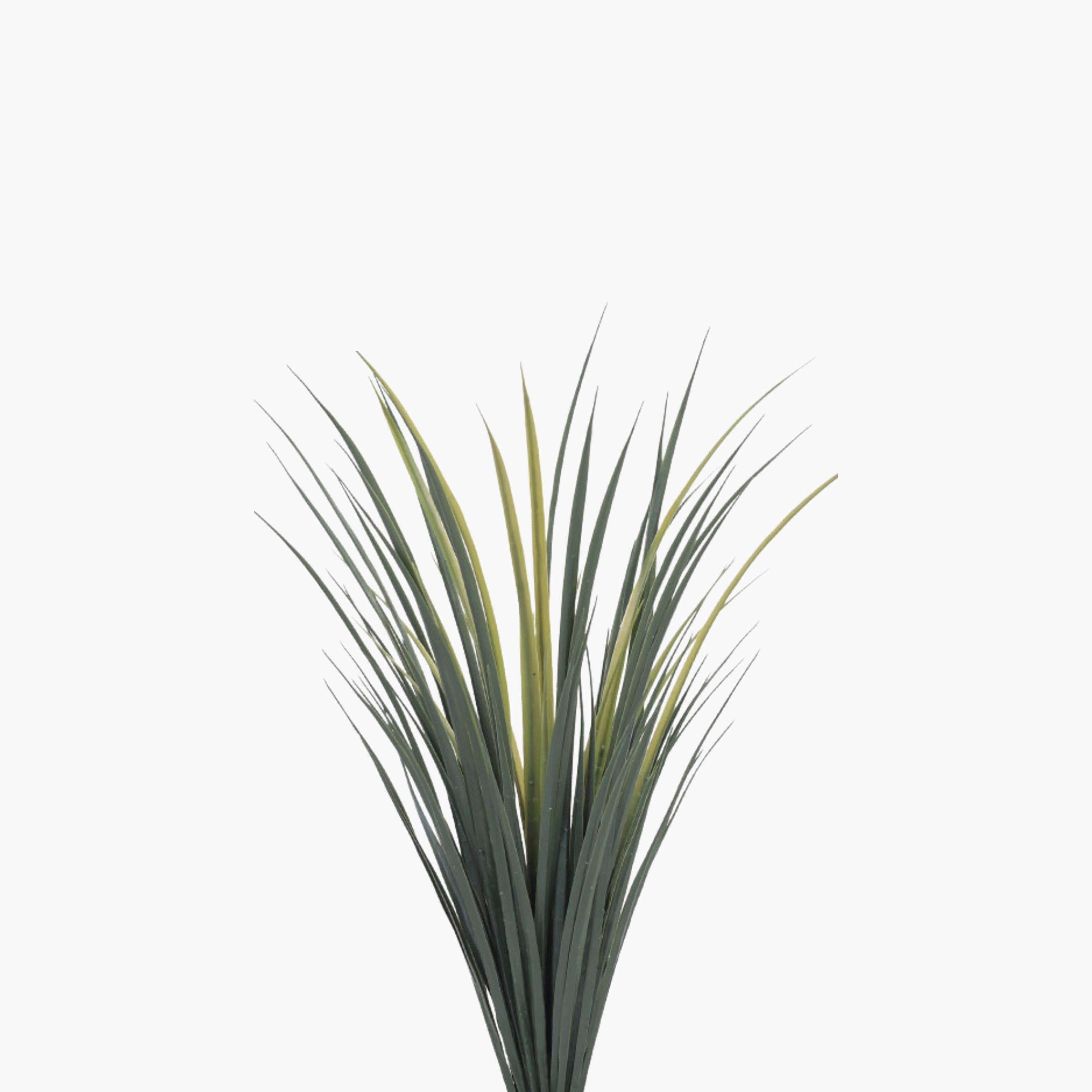 نبات صناعي عصاري بأصيص من ماريا هومز-household-gardenandoutdoor-artificialflowersandplants-flowers-image-3