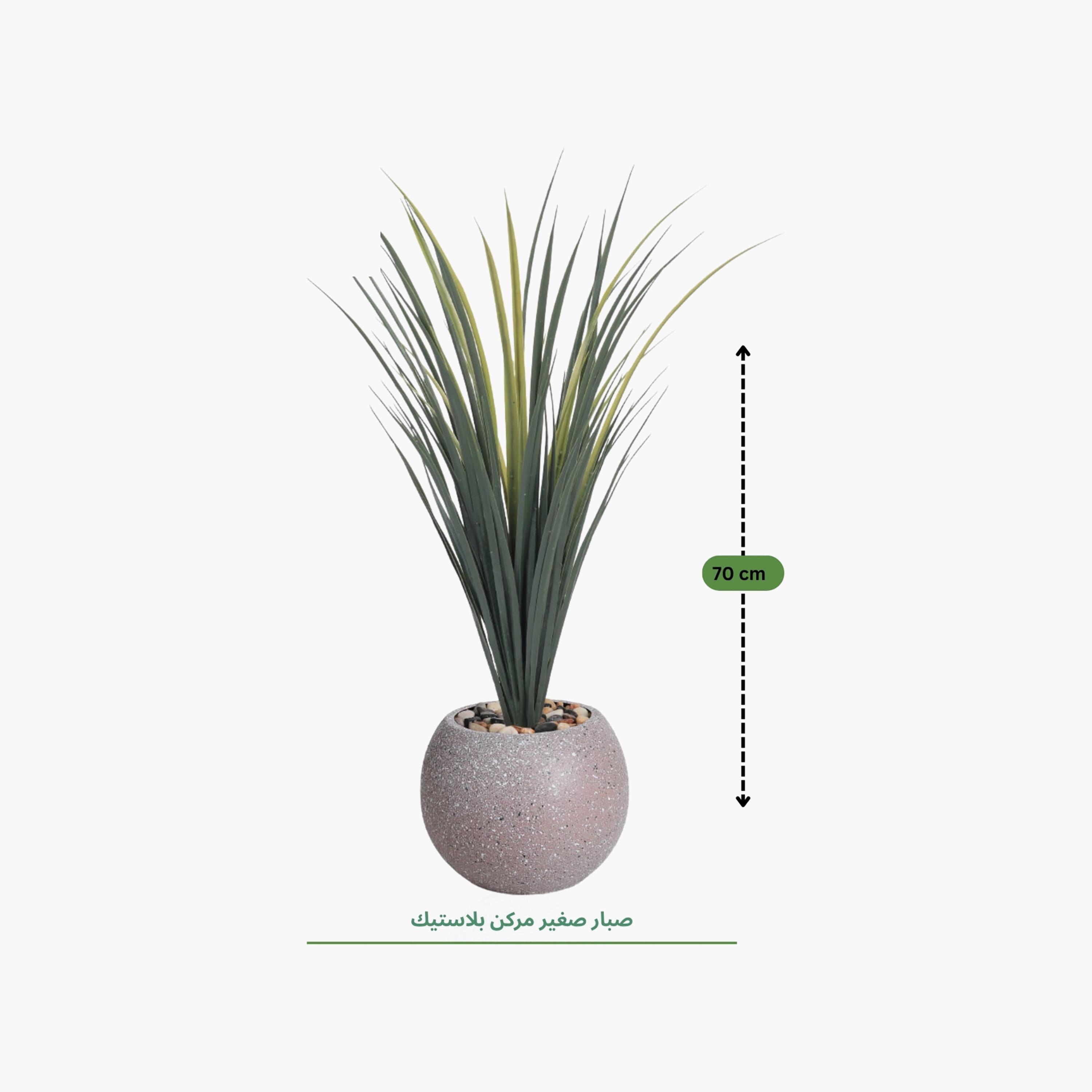 نبات صناعي عصاري بأصيص من ماريا هومز-household-gardenandoutdoor-artificialflowersandplants-flowers-image-4