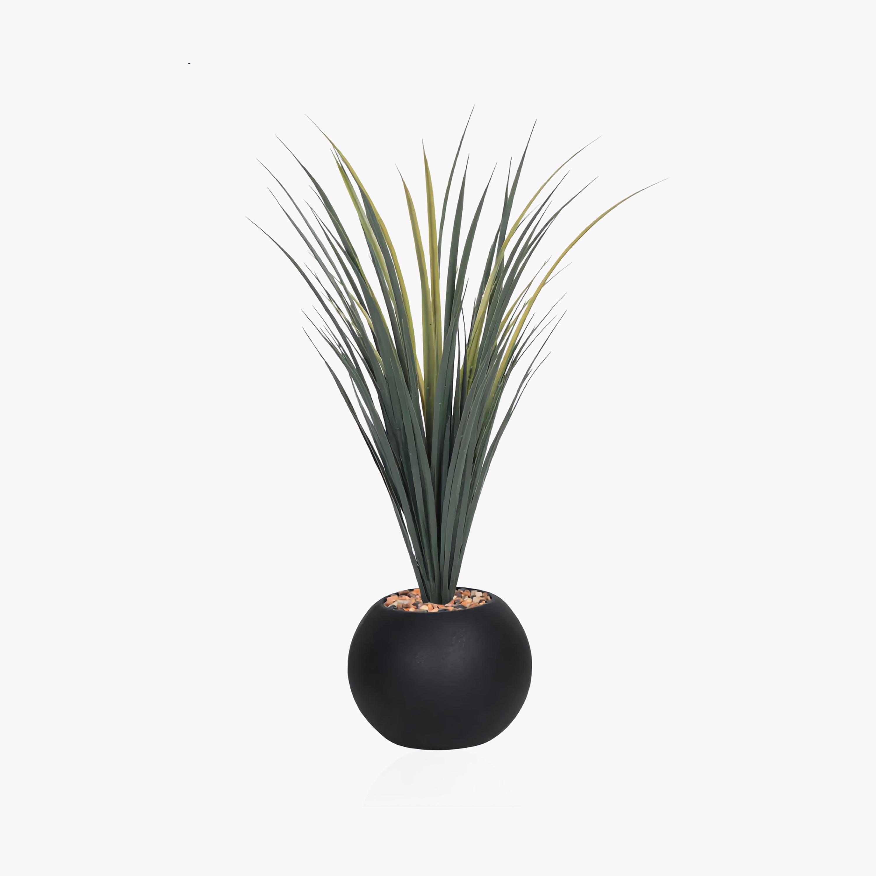 Maria Homes Black Potted Artificial Succulent Plant-household-gardenandoutdoor-artificialflowersandplants-flowers-image-2
