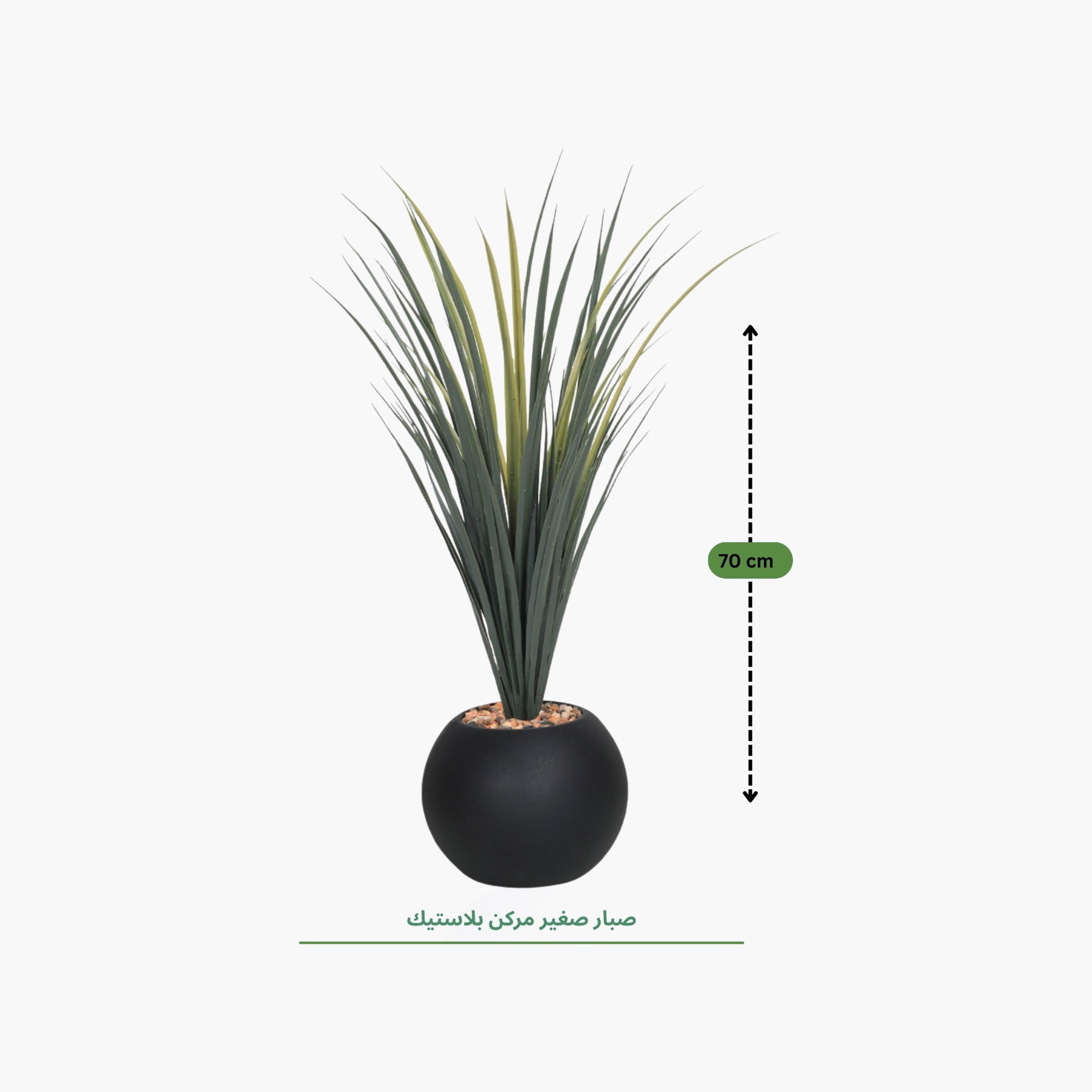 Maria Homes Black Potted Artificial Succulent Plant-household-gardenandoutdoor-artificialflowersandplants-flowers-image-4