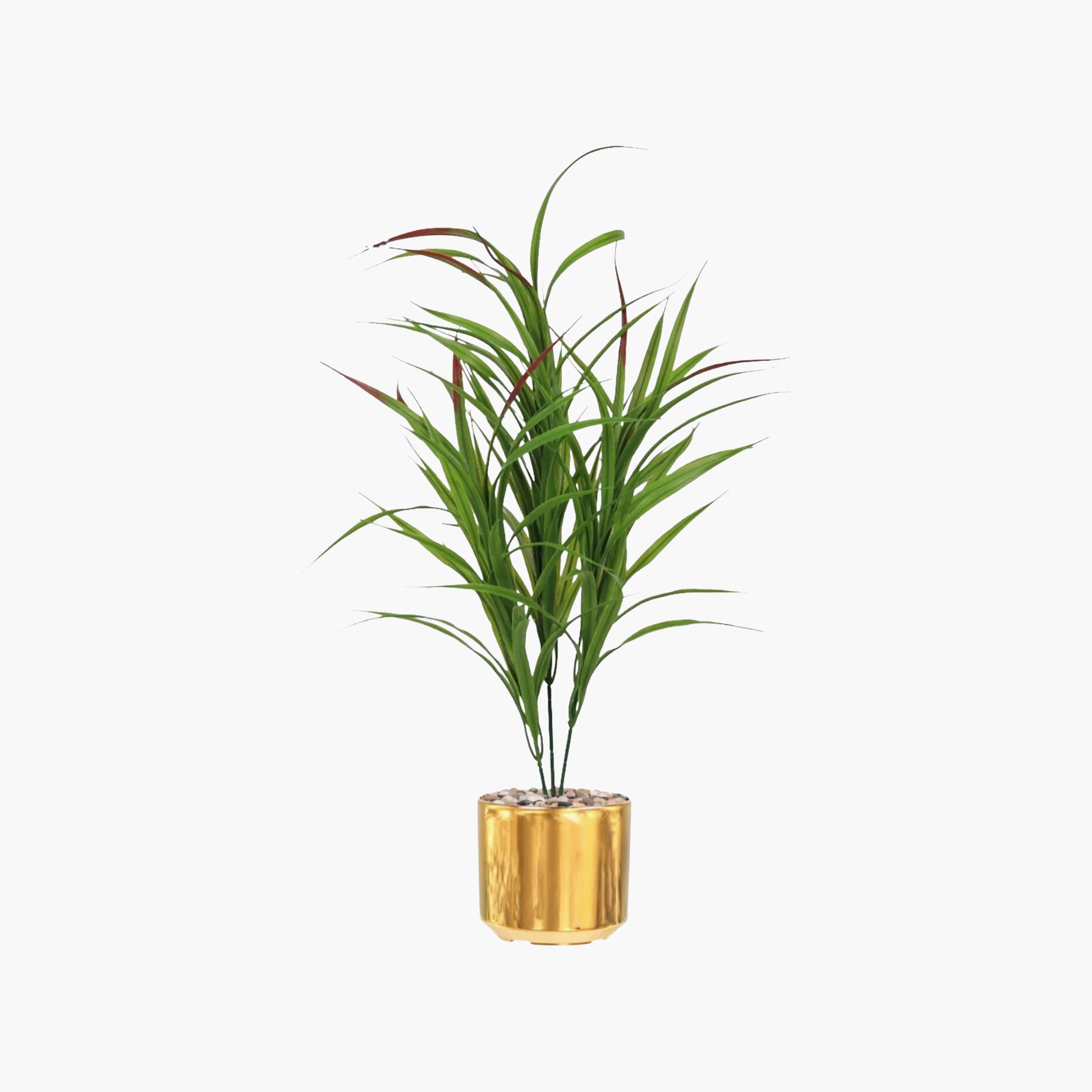 نبتة كوردلين صناعية بأصيص من ماريا هومز-household-gardenandoutdoor-artificialflowersandplants-flowers-image-2