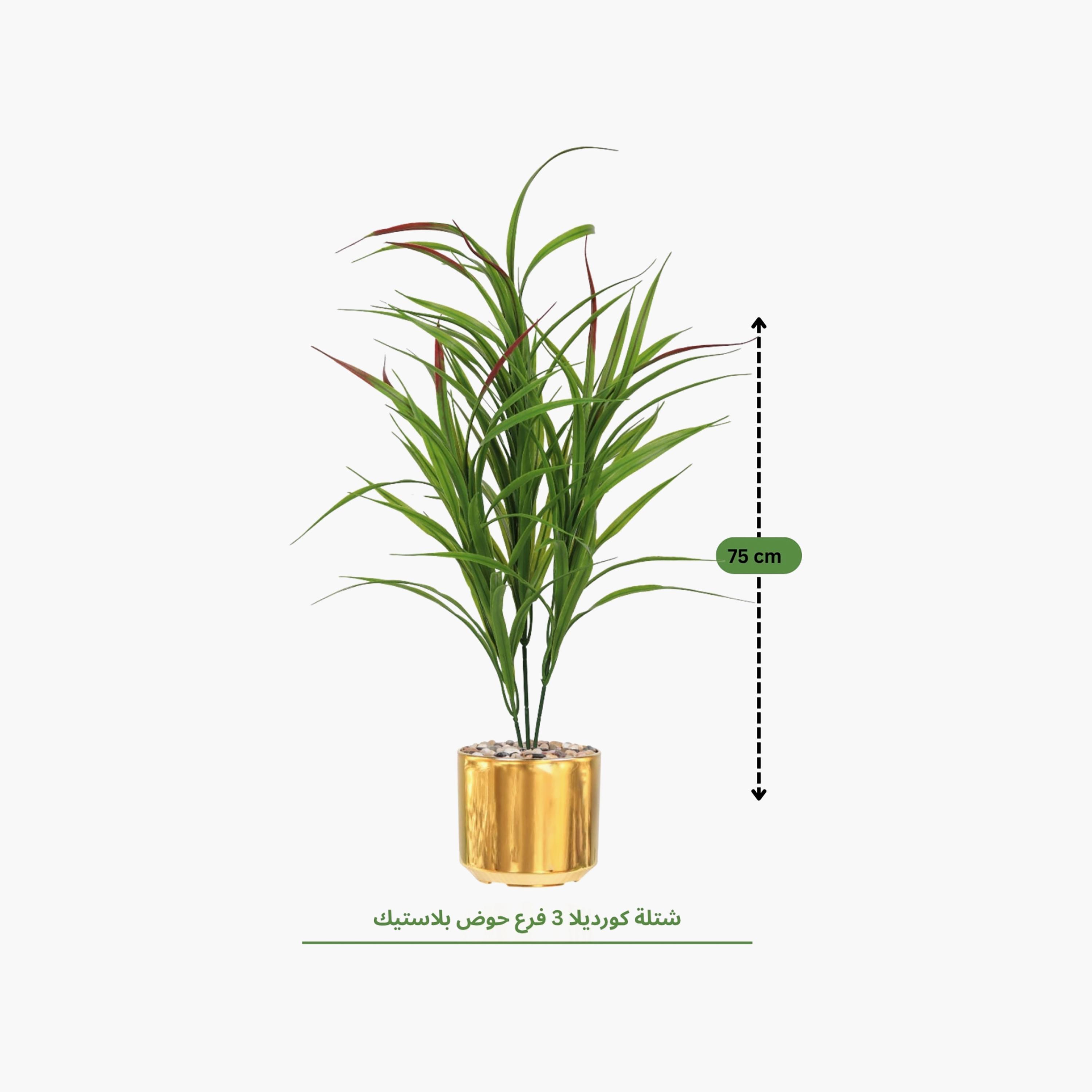 نبتة كوردلين صناعية بأصيص من ماريا هومز-household-gardenandoutdoor-artificialflowersandplants-flowers-image-4