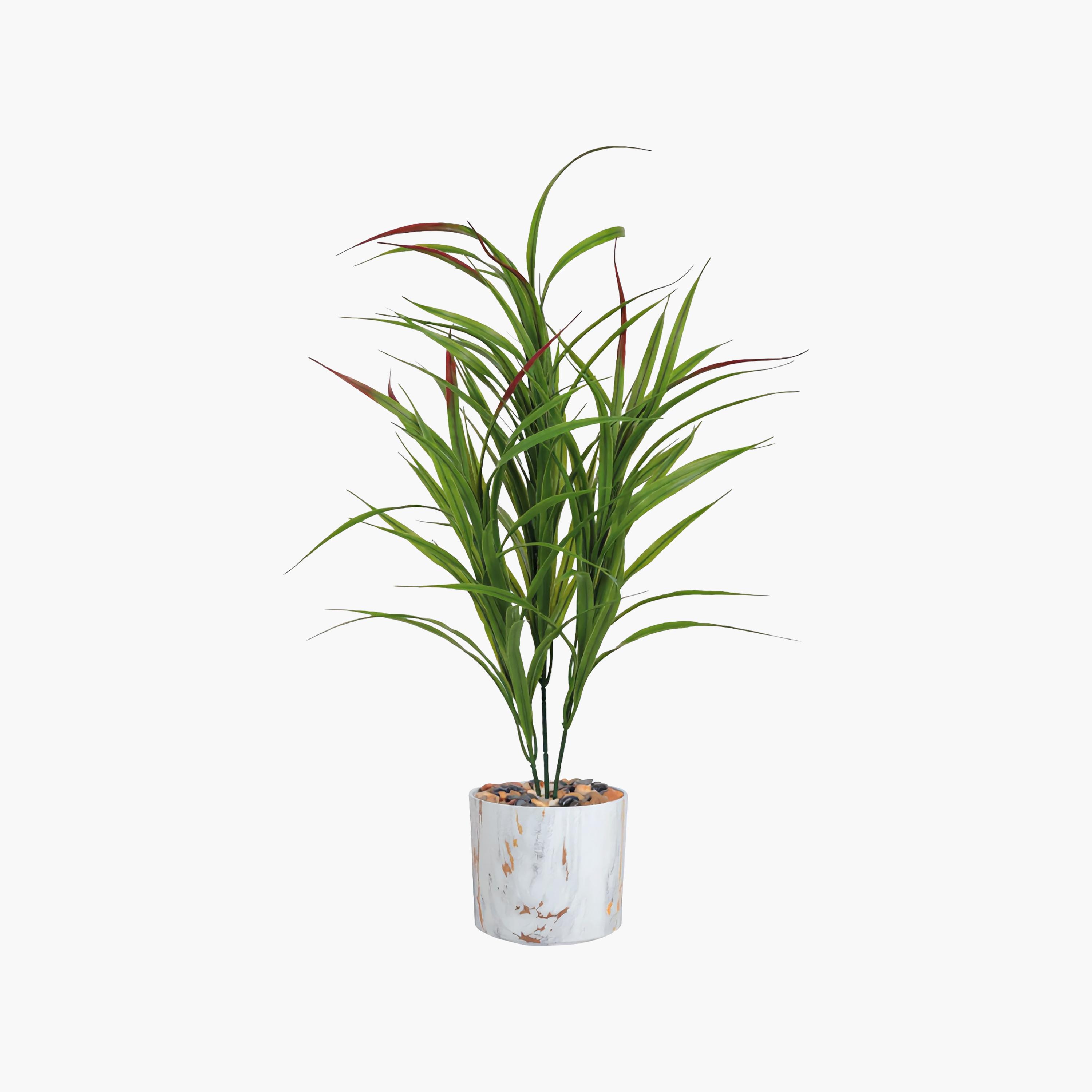 Maria Homes Multicolour Potted Artificial Cordyline Plant-household-gardenandoutdoor-artificialflowersandplants-flowers-image-2